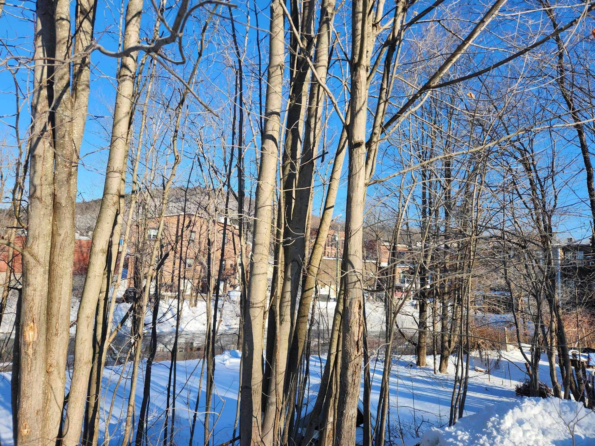 Bristol, NH 03222,30 Beech ST #4C