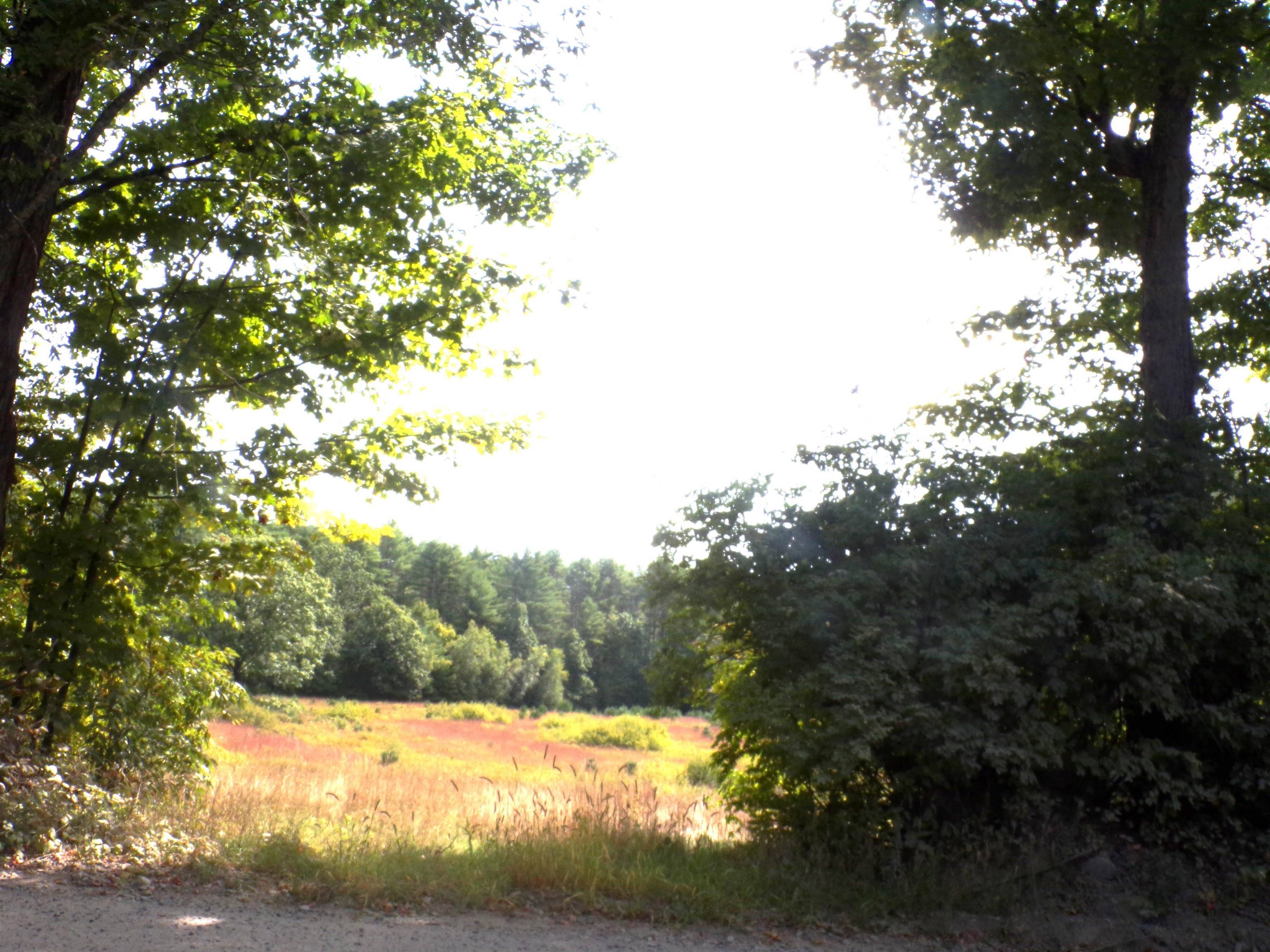 Hopkinton, NH 03229,1667 Clement Hill RD