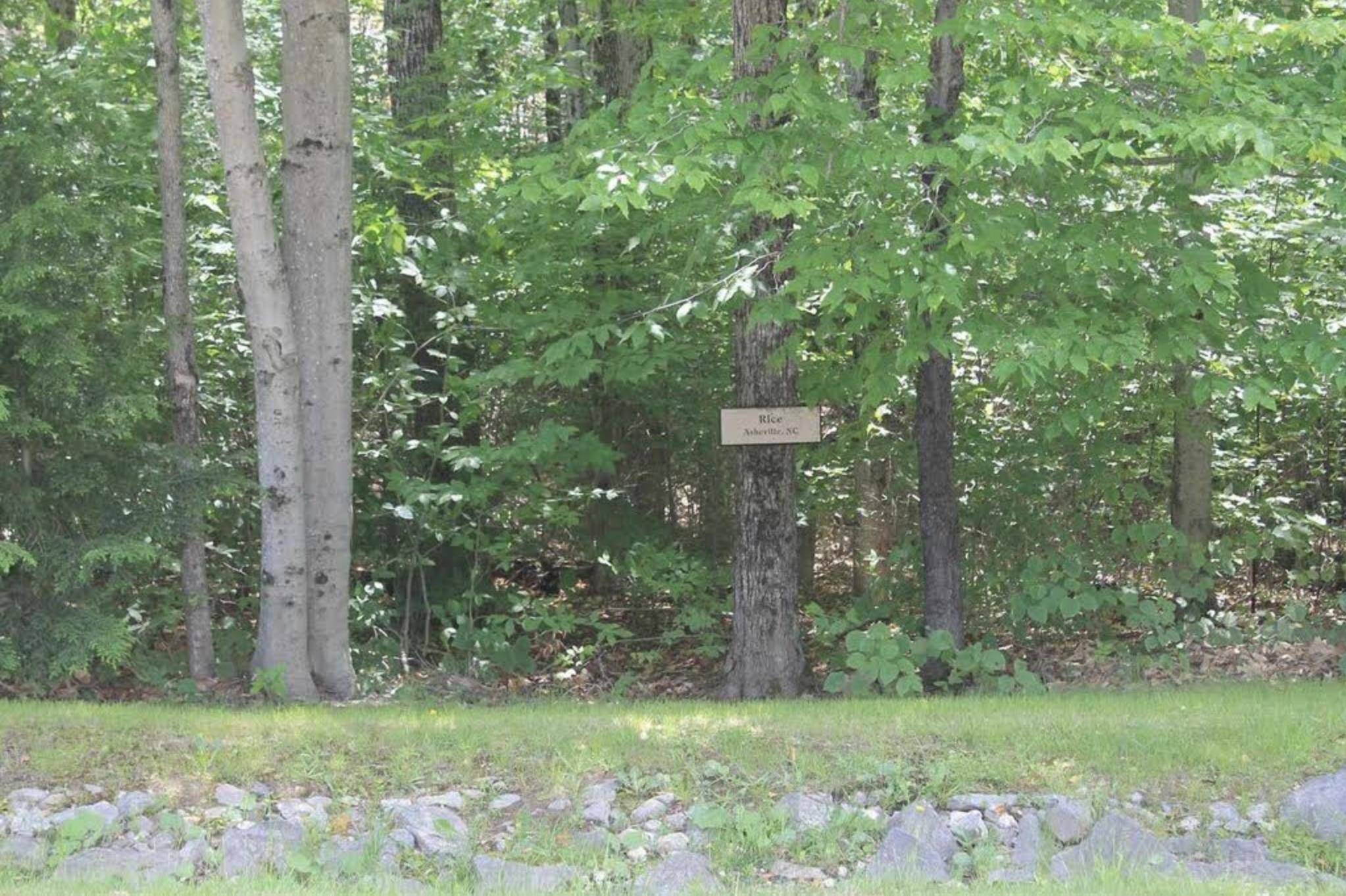 Lincoln, NH 03251,139 South Peak RD