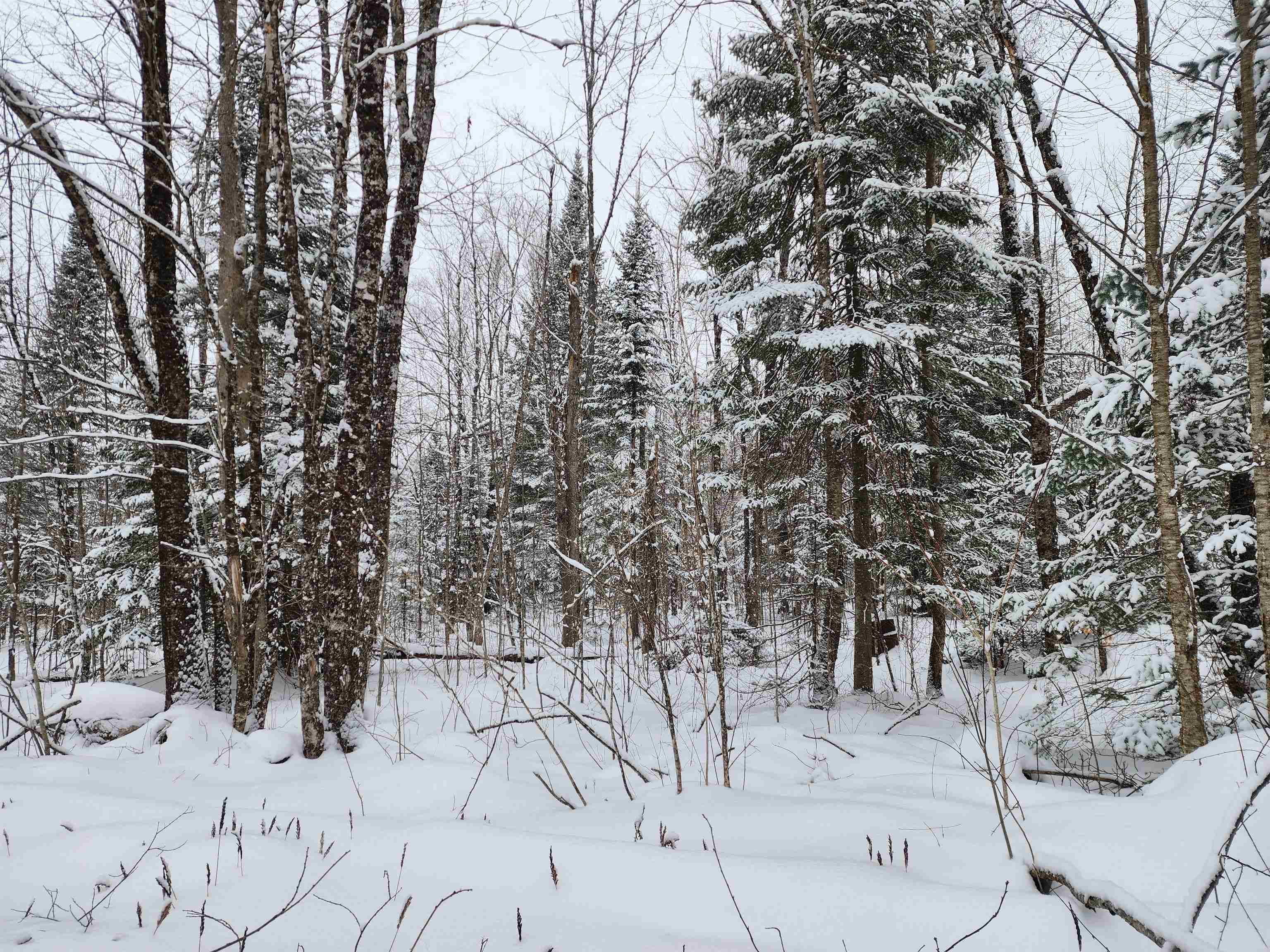 Columbia, NH 03576,TBD Washburn RD