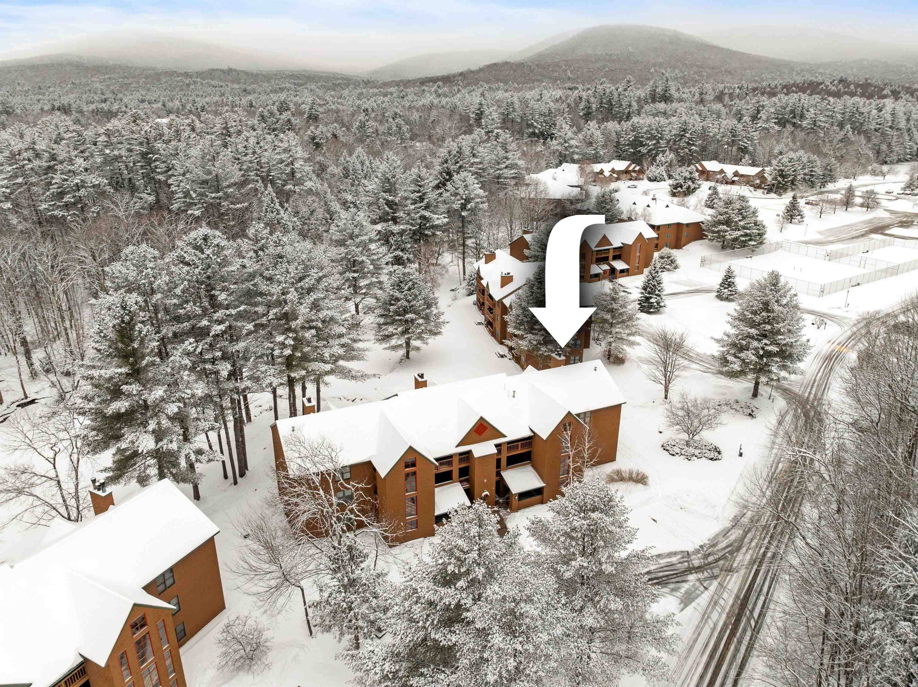 Woodstock, NH 03262,75 Riverfront DR #206