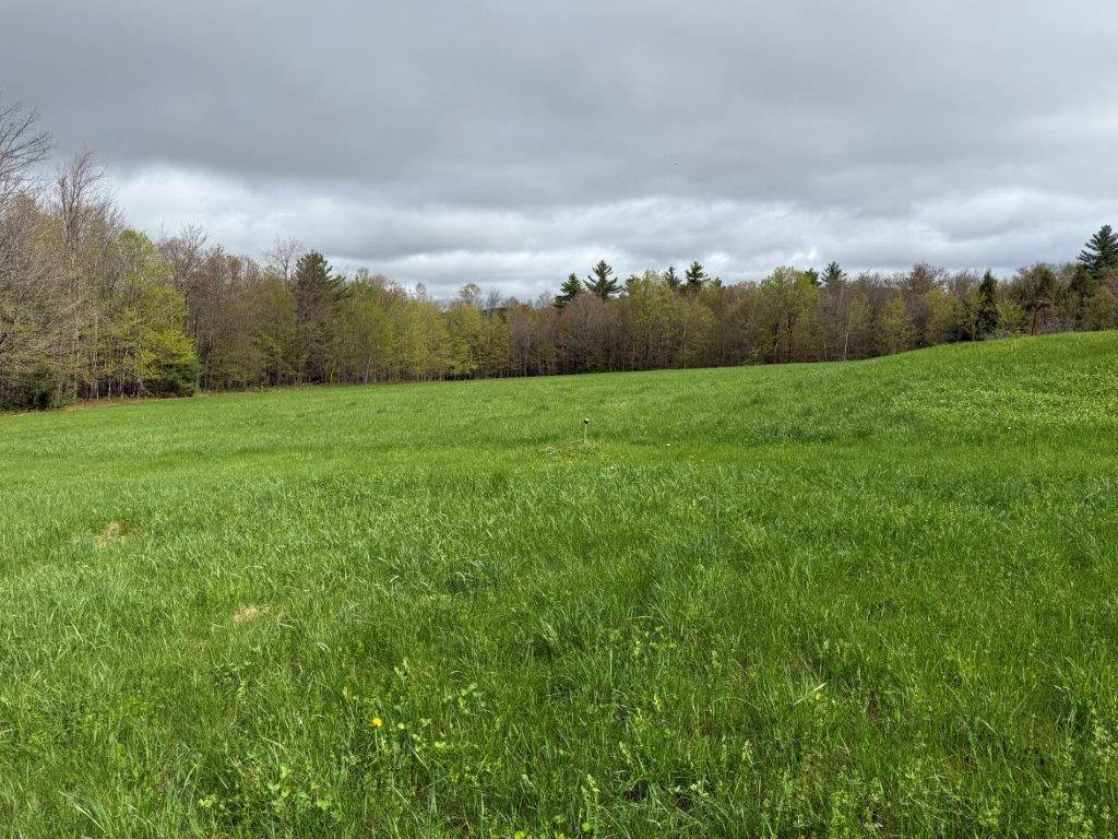 Grafton, NH 03240,264 Sargent Hill RD