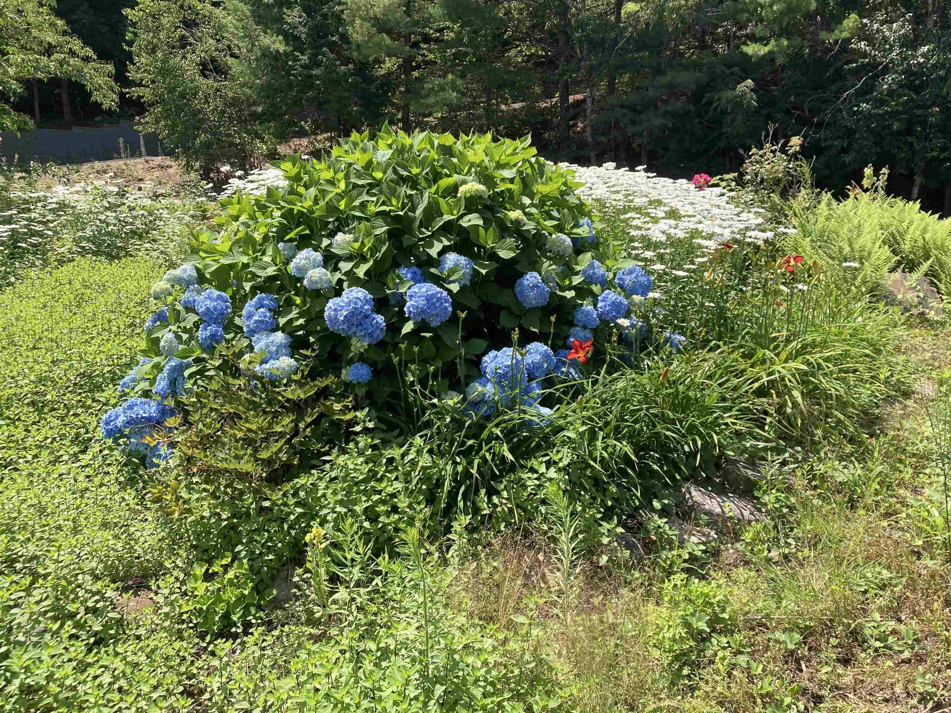 105 Juniper Ridge RD Gilford, NH 03249