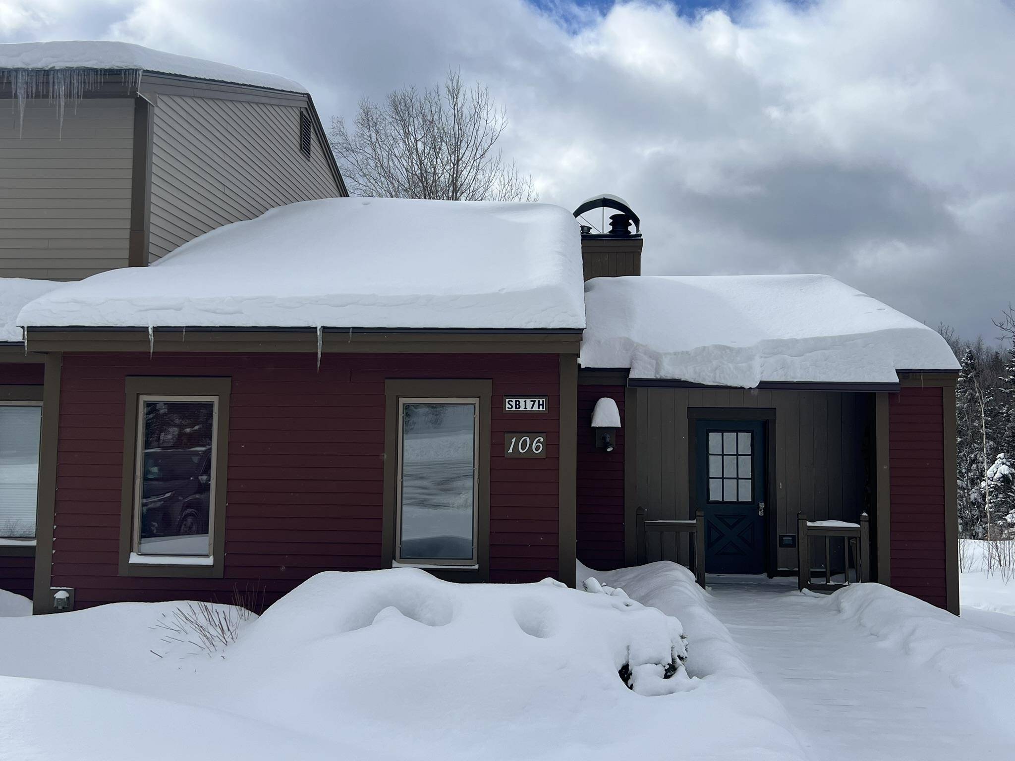 Dover, VT 05356,106 Silver Birch