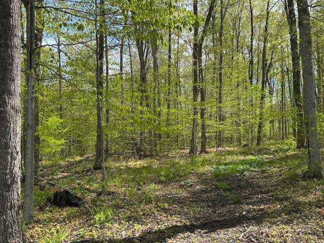 389 Young RD Williamstown, VT 05679