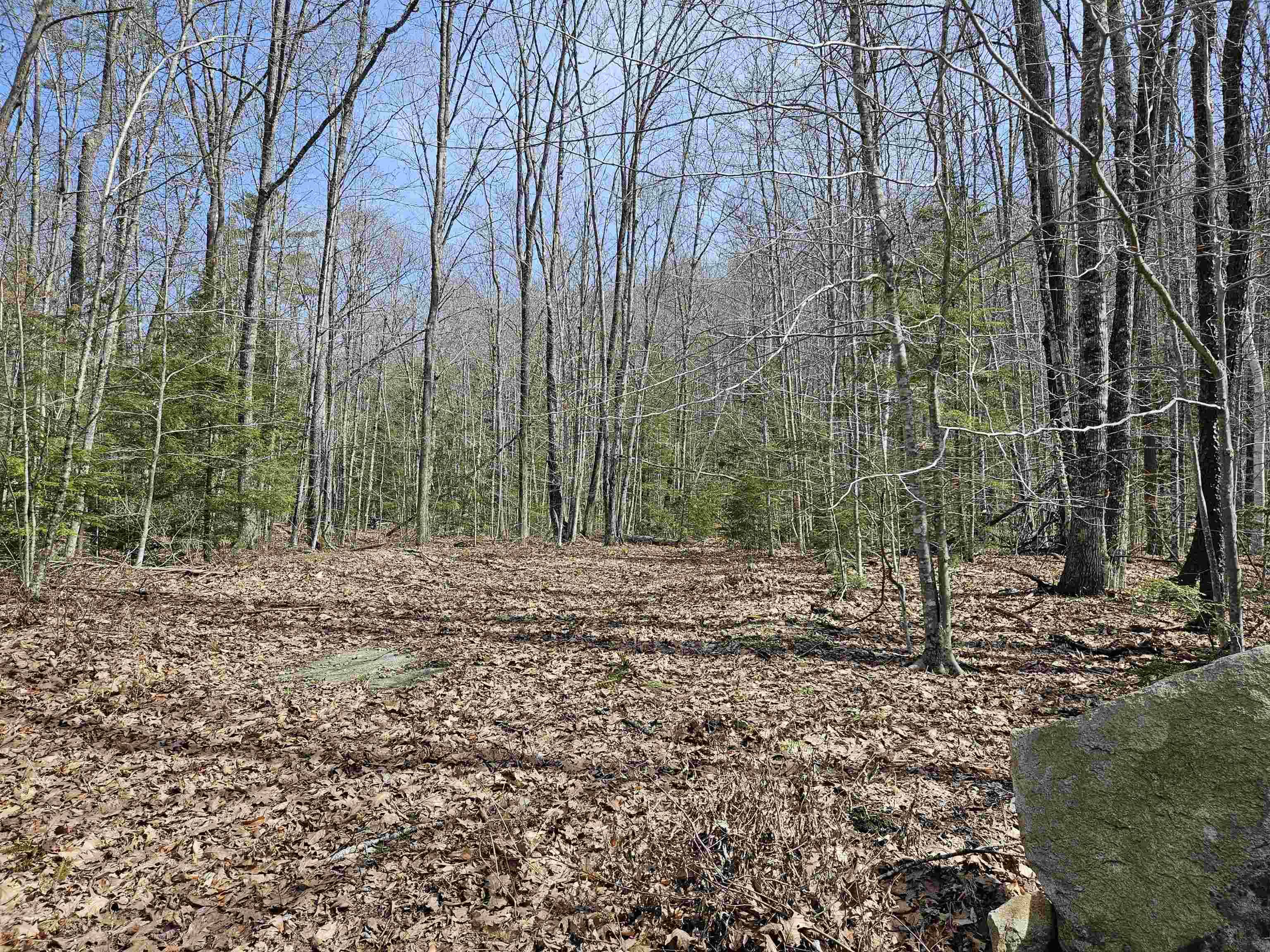 Canaan, NH 03741,00 Hinkson Brook RD