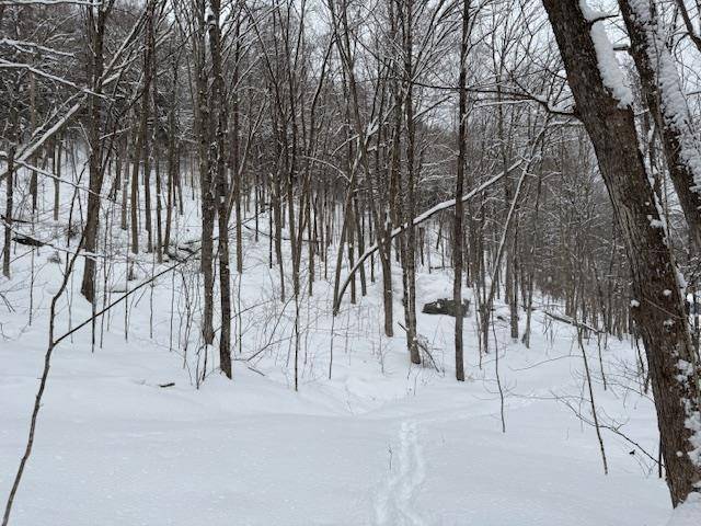 Greensboro, VT 05841,917 Eligo Lake RD