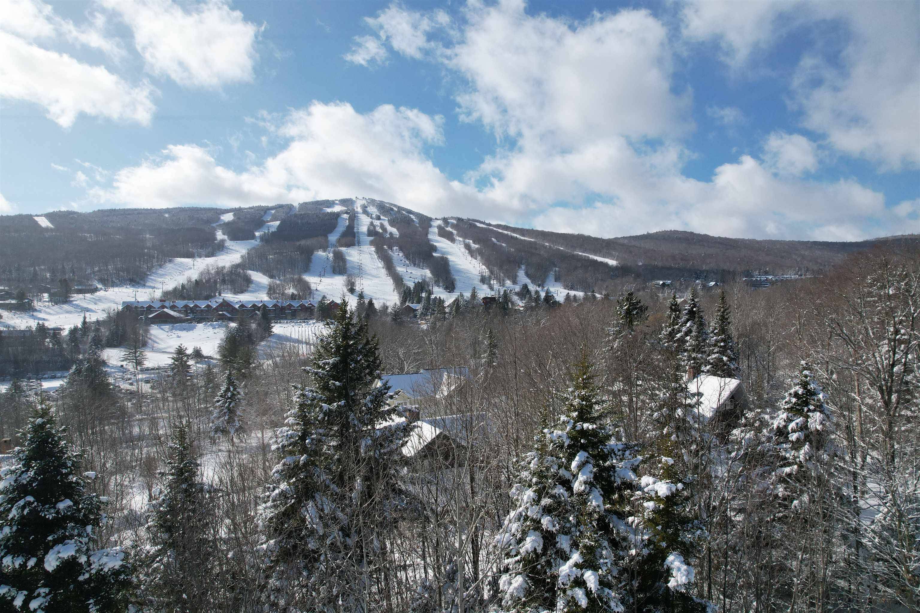 Dover, VT 05356,5 Pinnacle View RD #5