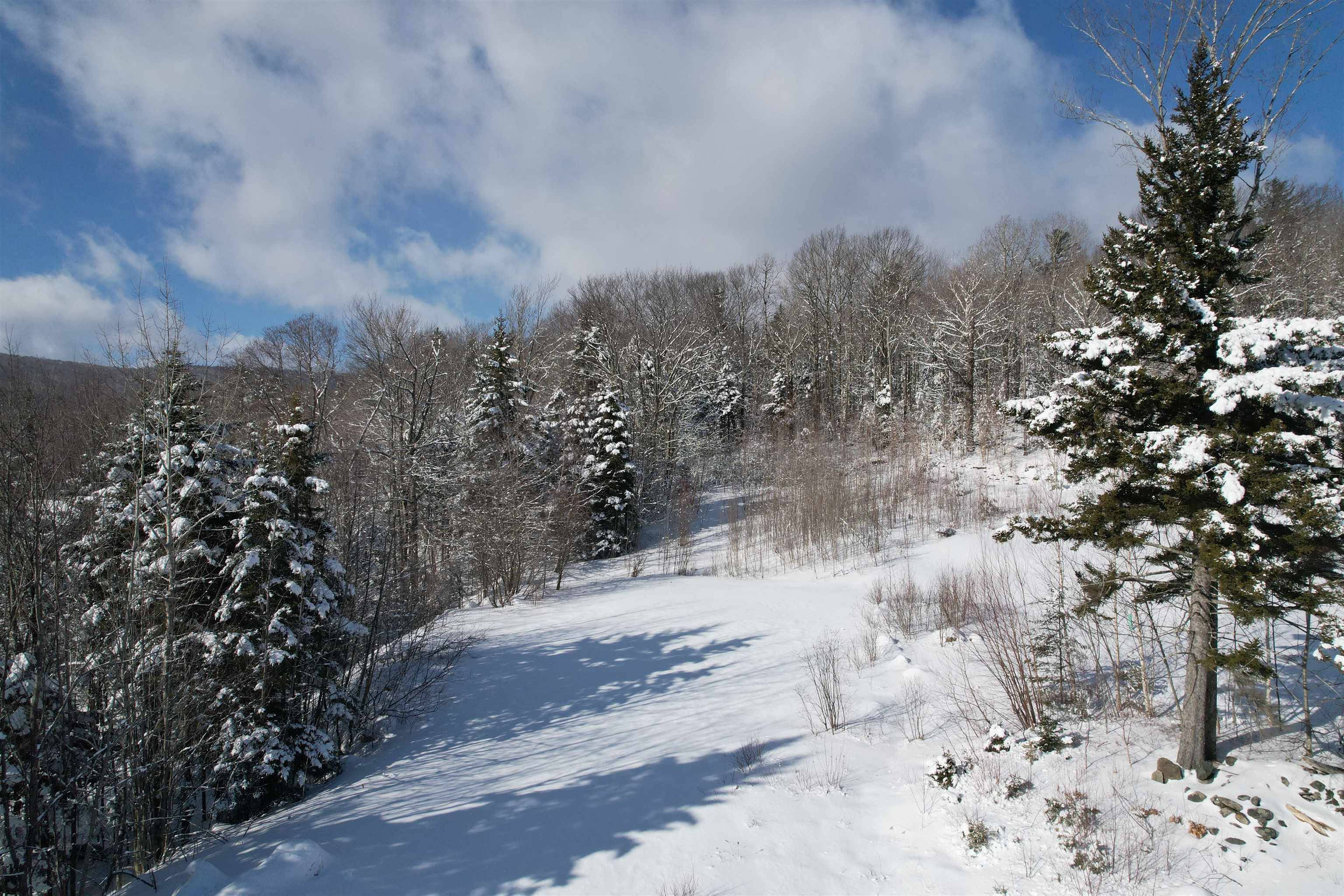Dover, VT 05356,5 Pinnacle View RD #5