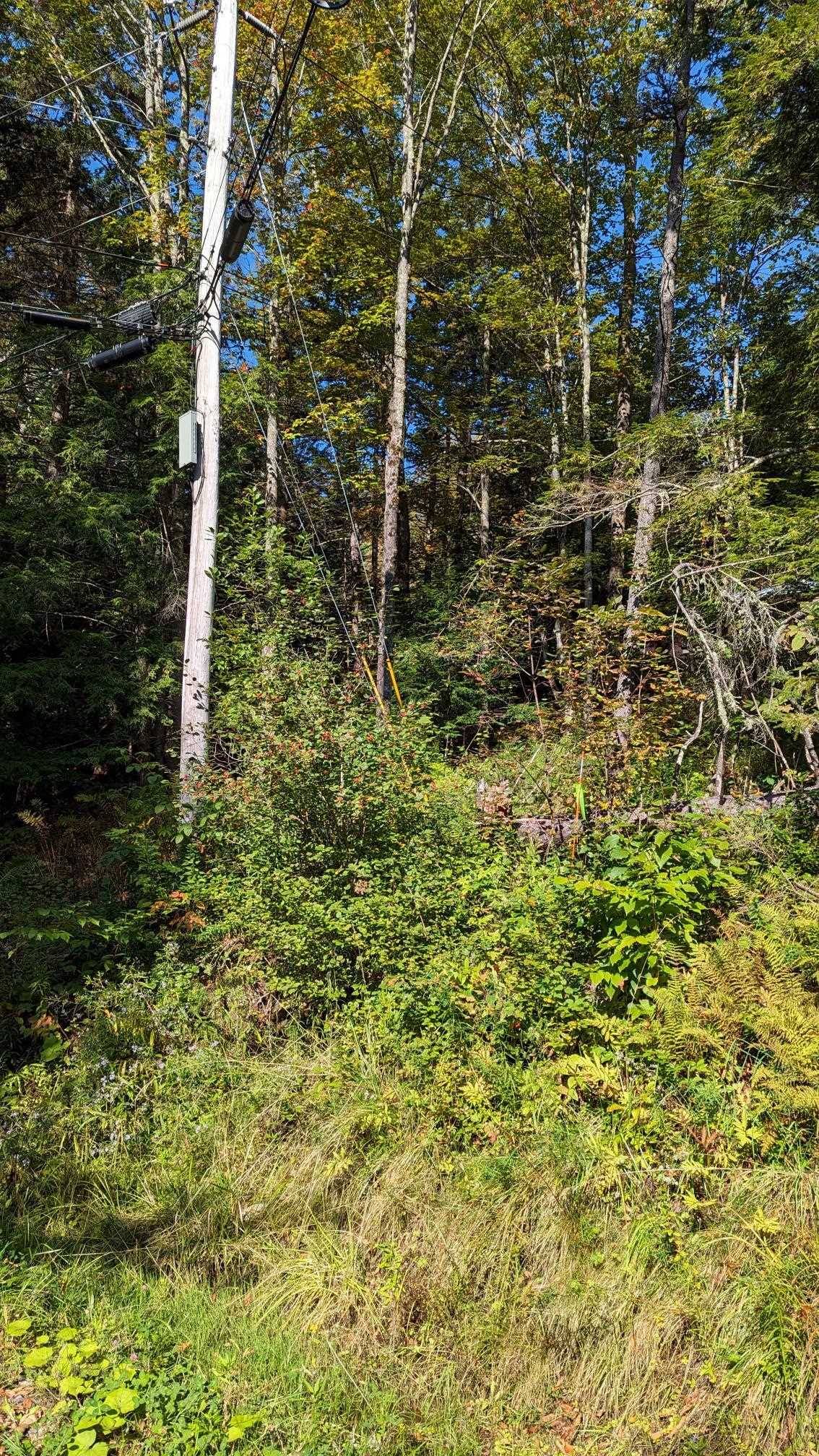 Pittsfield, VT 05762,Hawk Mountain RD #50