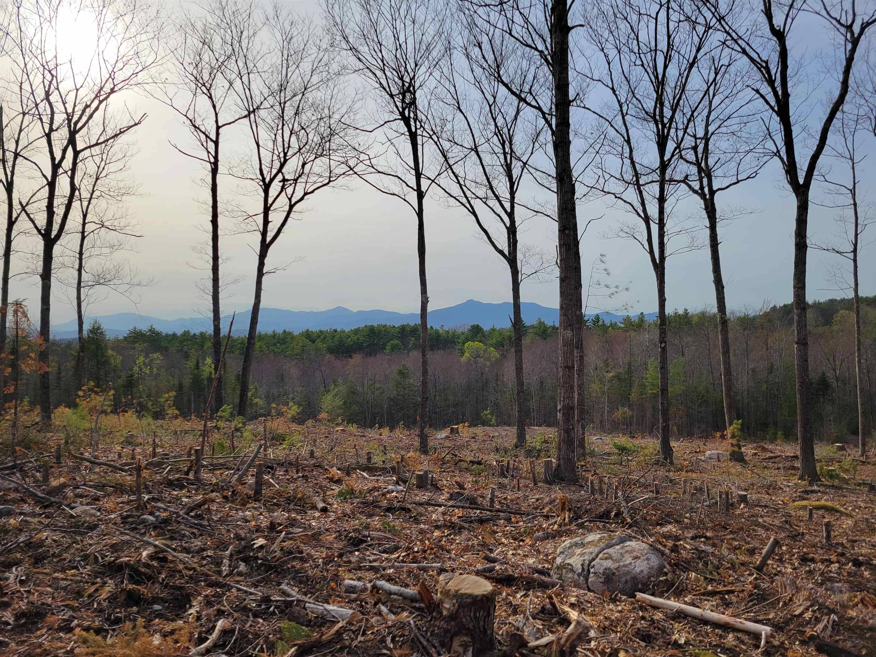 Madison, NH 03849,0 Maple Grove RD