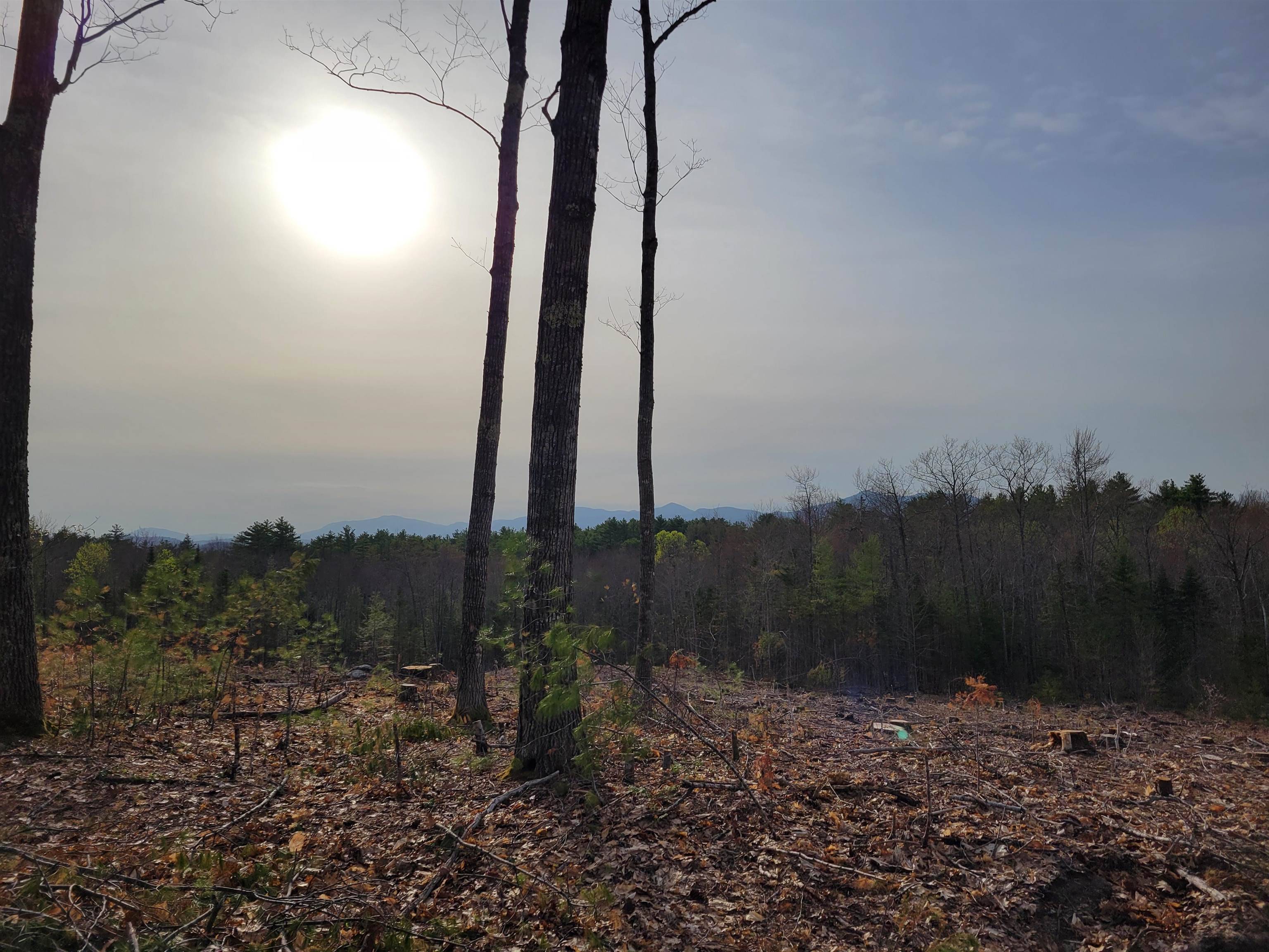 Madison, NH 03849,0 Maple Grove RD