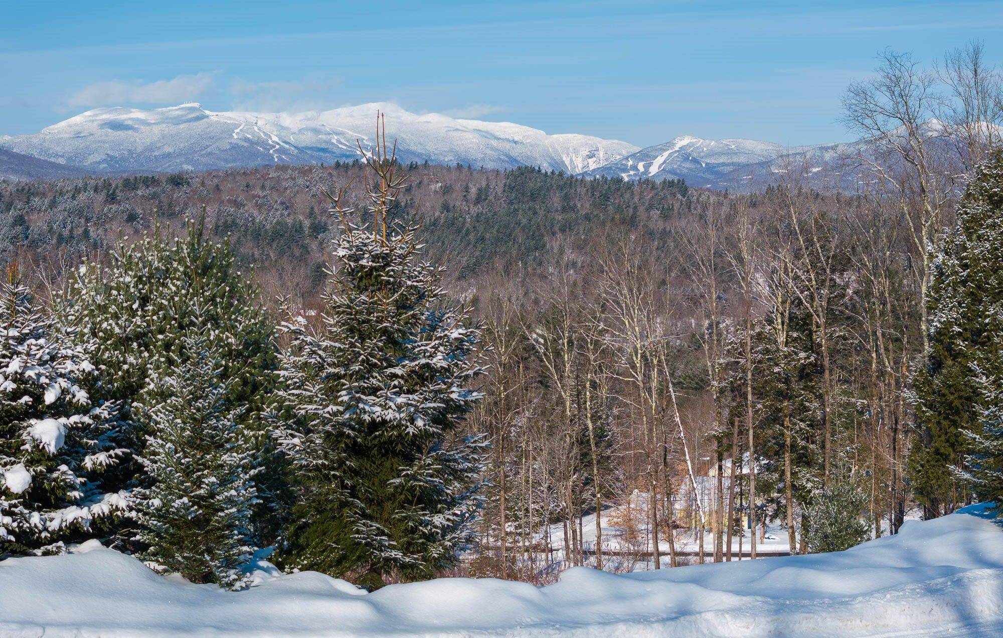 Stowe, VT 05672,00 Summit View DR #1B