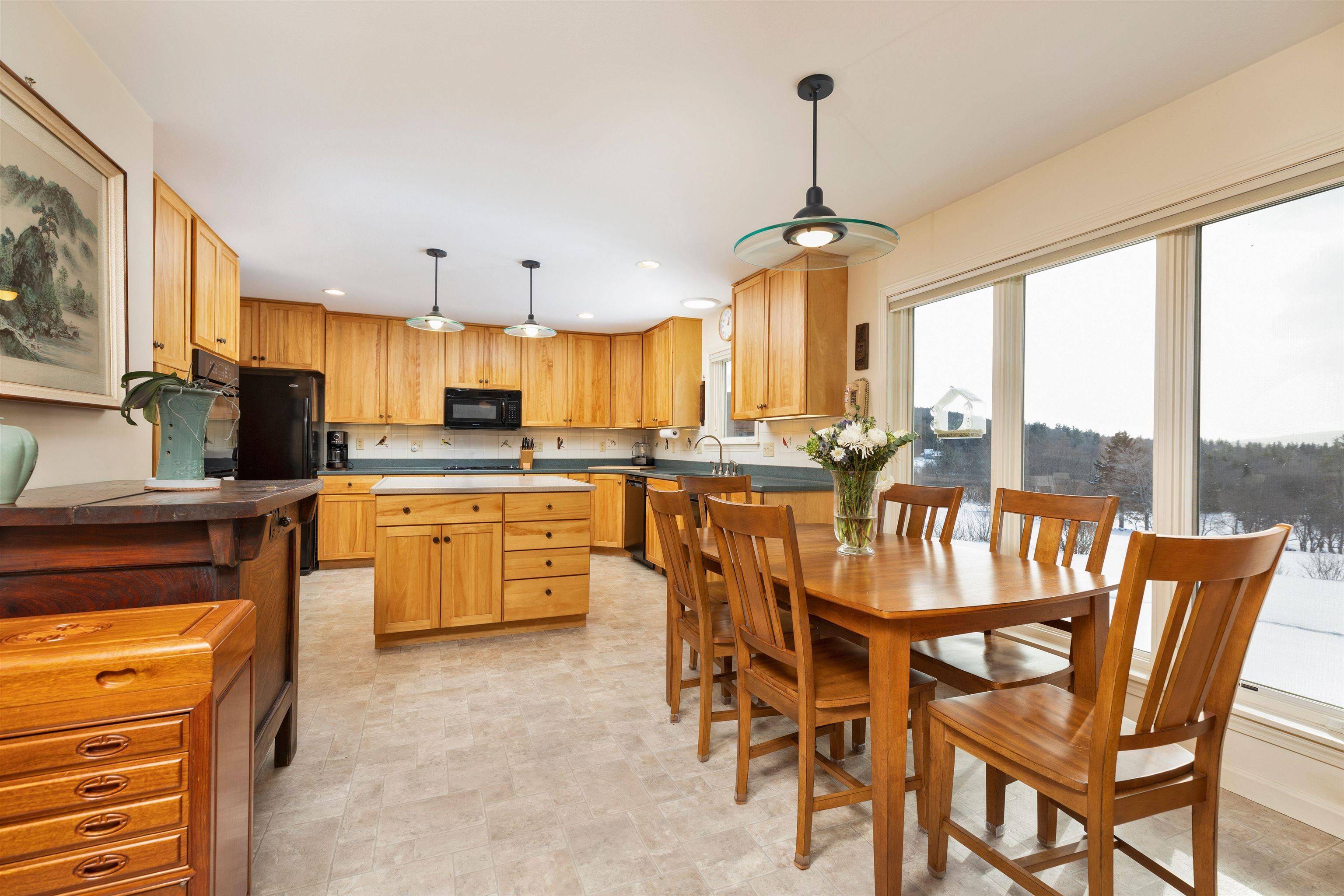 Piermont, NH 03779,1610 Cape Moonshine RD