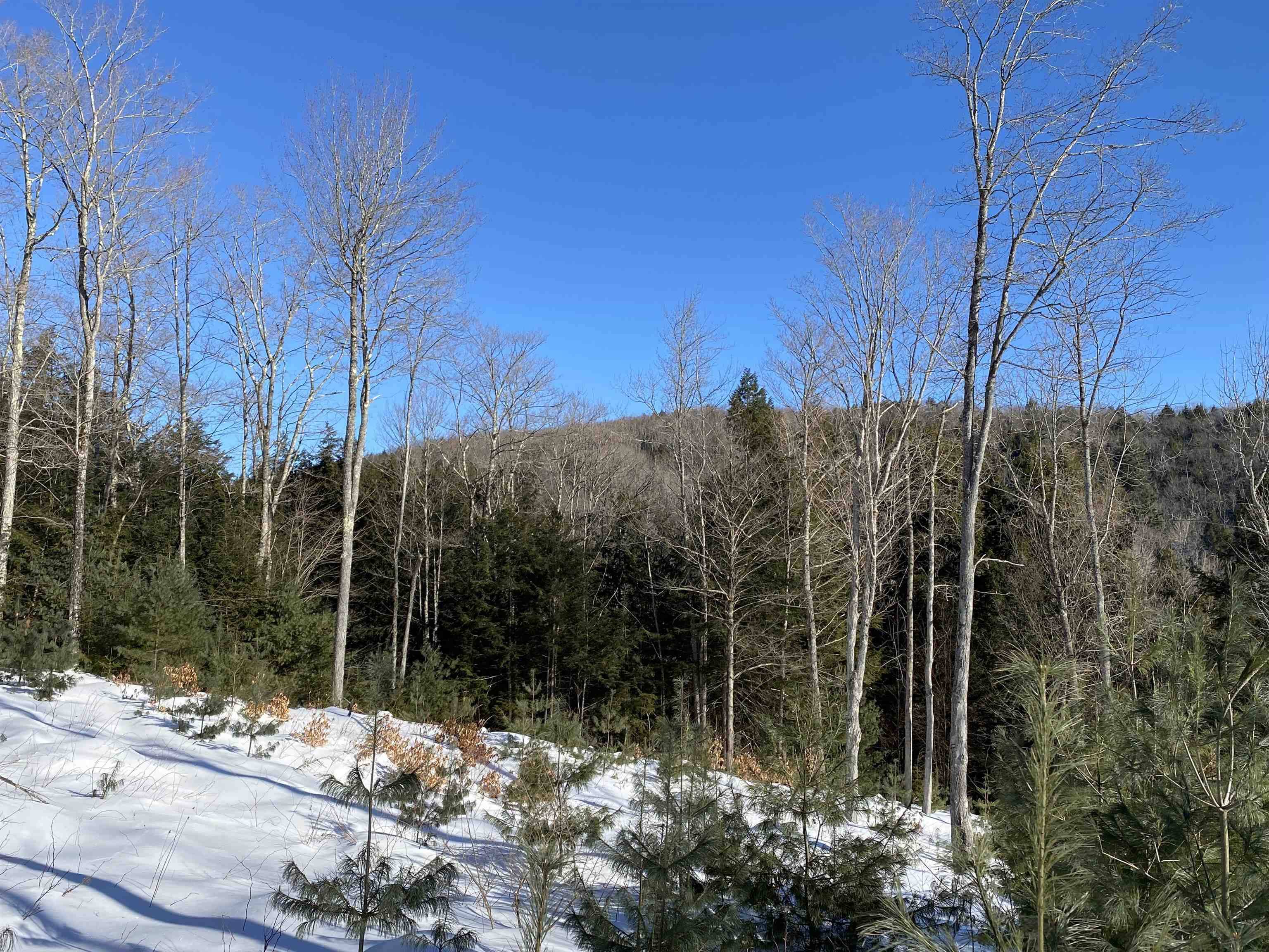 Thetford, VT 05054,Houghton Hill RD