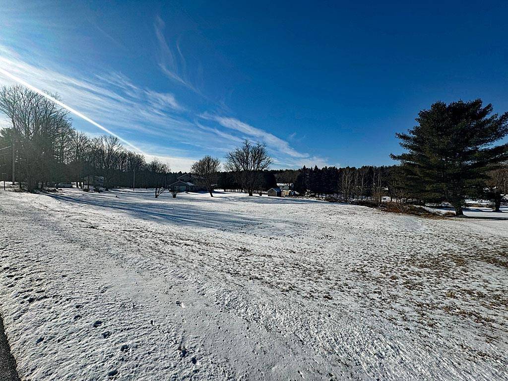 Castleton, VT 05735,0 Blissville RD