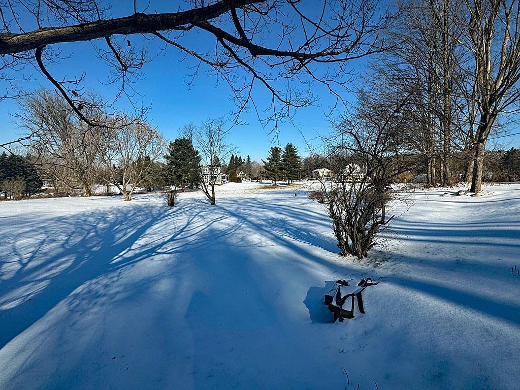 Castleton, VT 05735,0 Blissville RD
