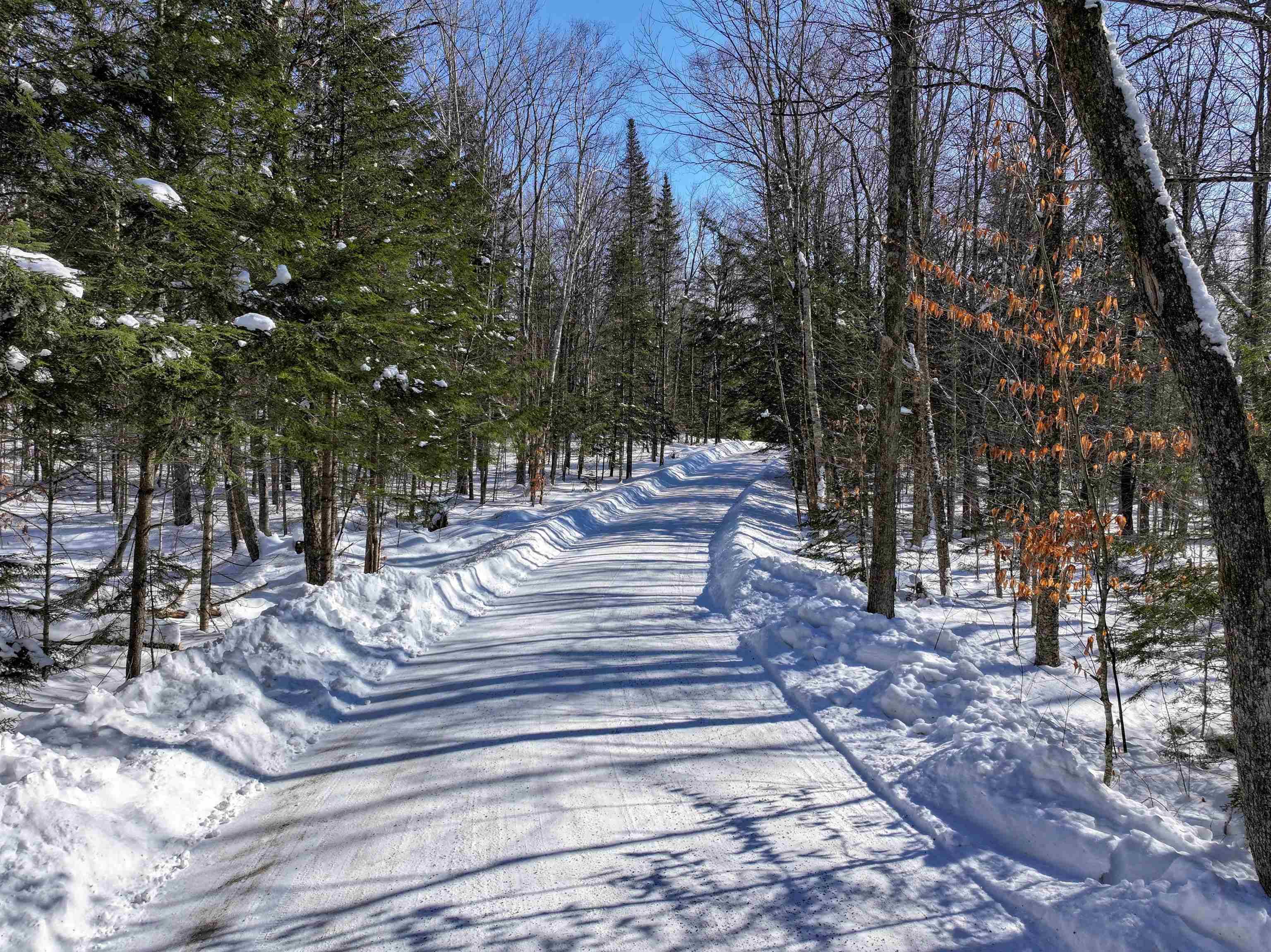 Ripton, VT 05766,2430 North Branch RD