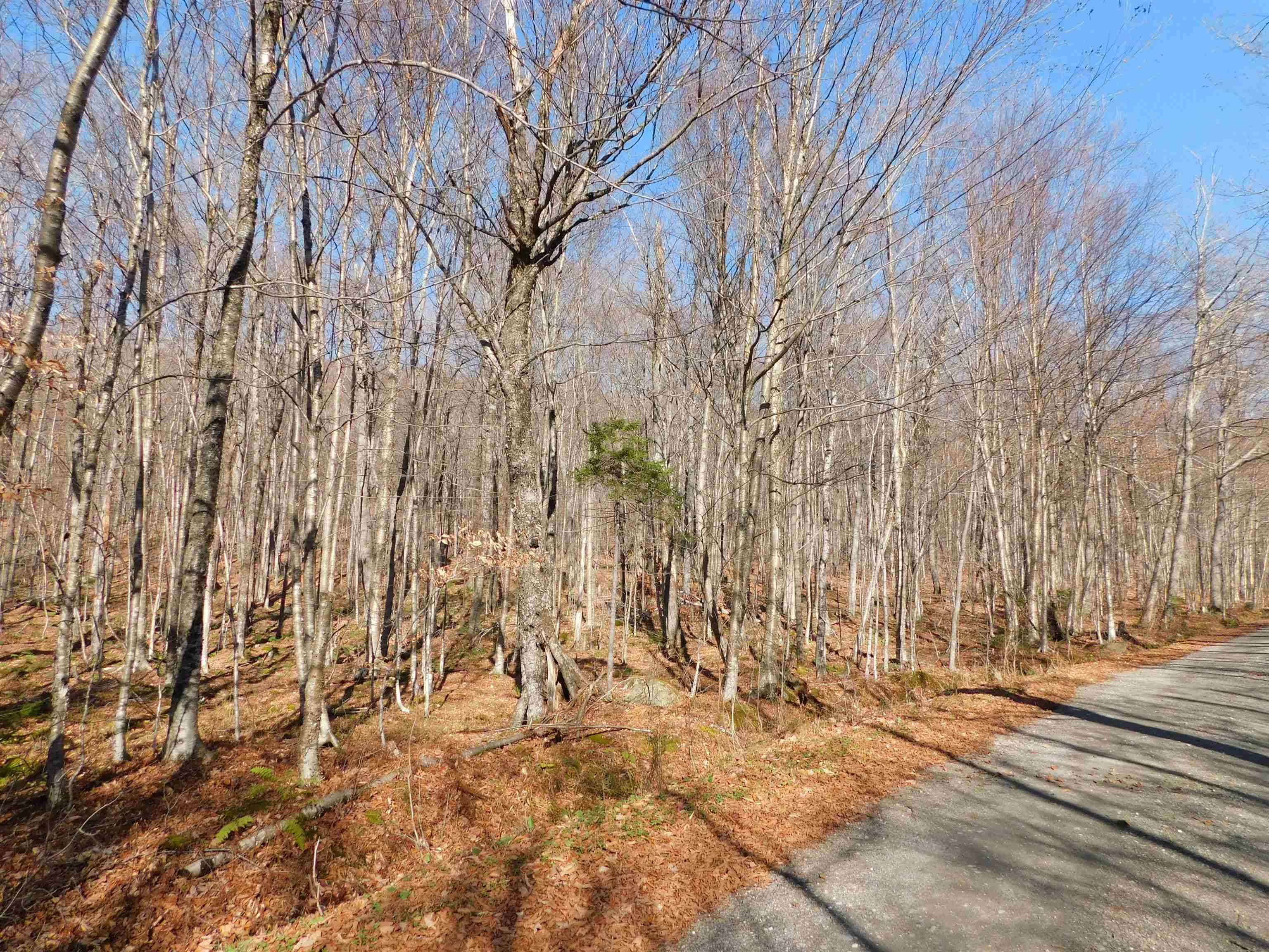 Montgomery, VT 05471,00 Highland DR #3