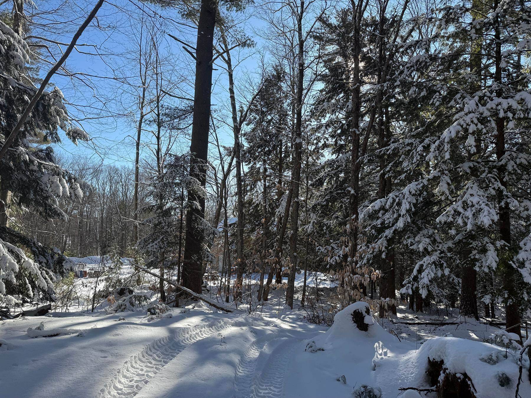 Belmont, NH 03220,TM 226 L 26 Province RD