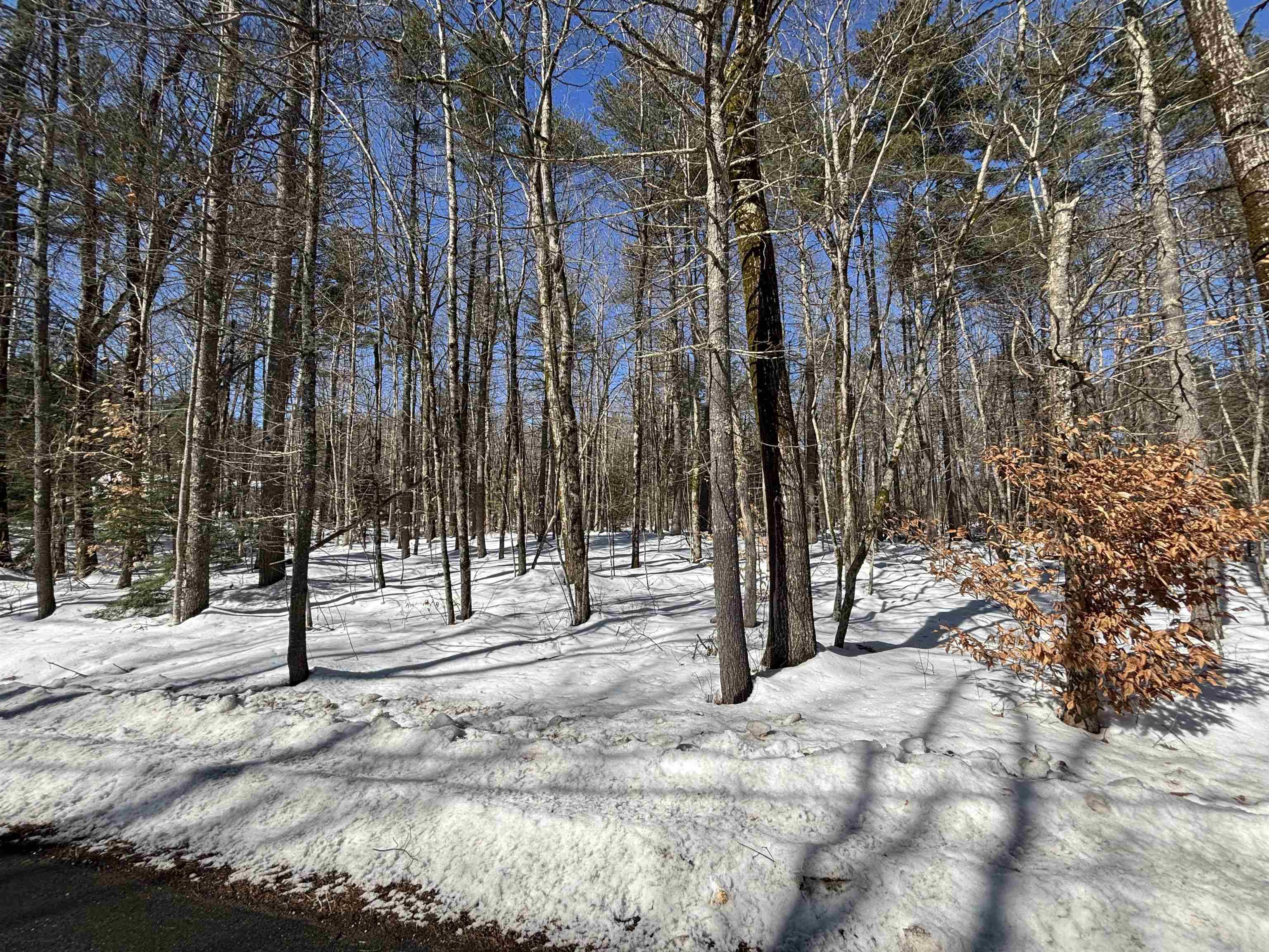 Barrington, NH 03825,Wildcat RD #Lot #10