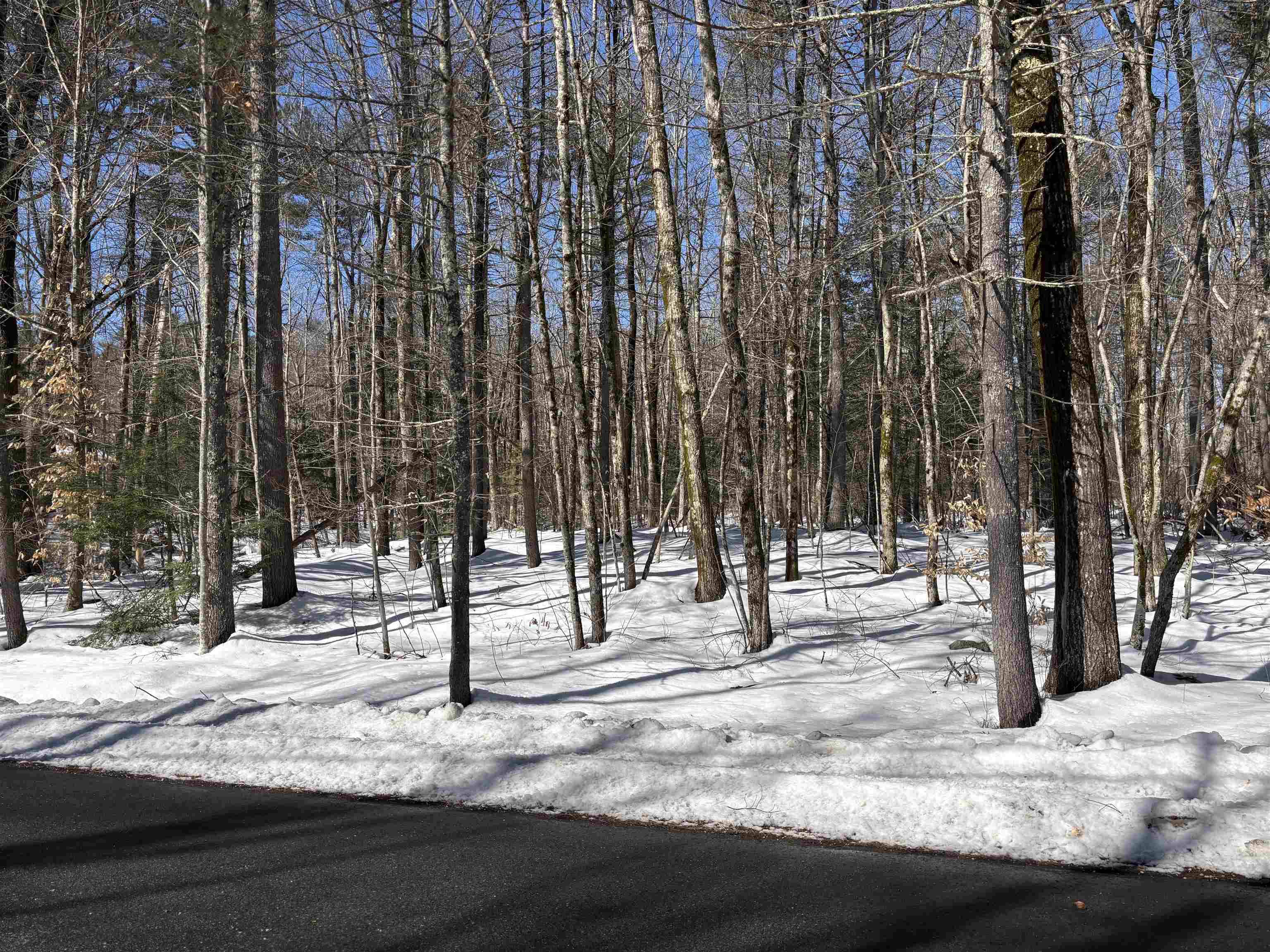 Barrington, NH 03825,Wildcat RD #Lot #10