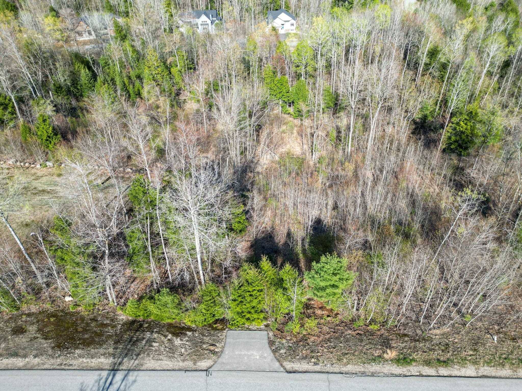 Conway, NH 03818,64 Grandview RD