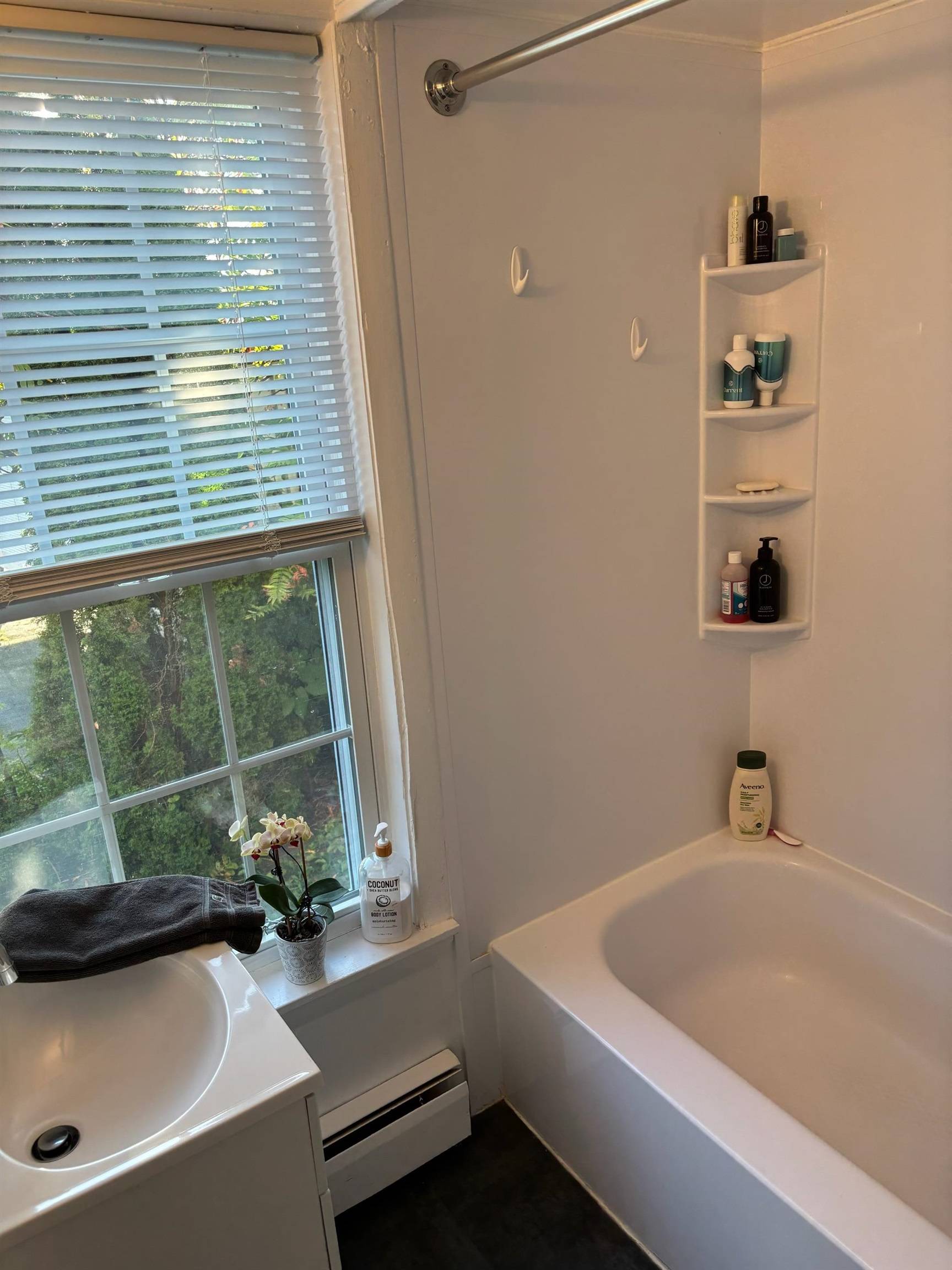 Meredith, NH 03253,21 Plymouth ST #1