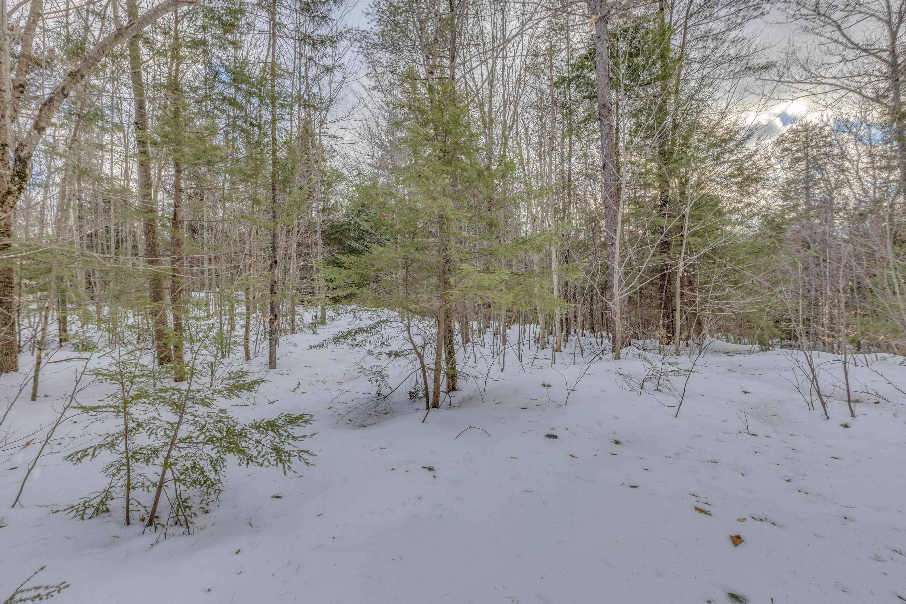 Alexandria, NH 03222,Washburn RD #410-2