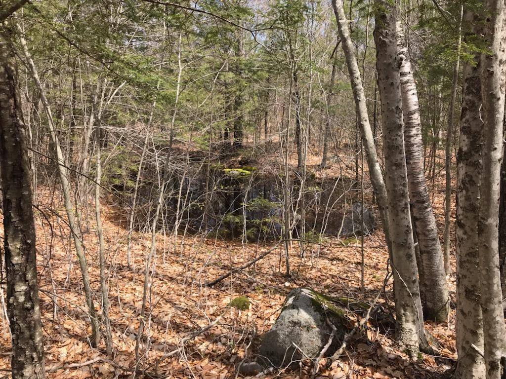 Milton, NH 03851,305 Middleton RD