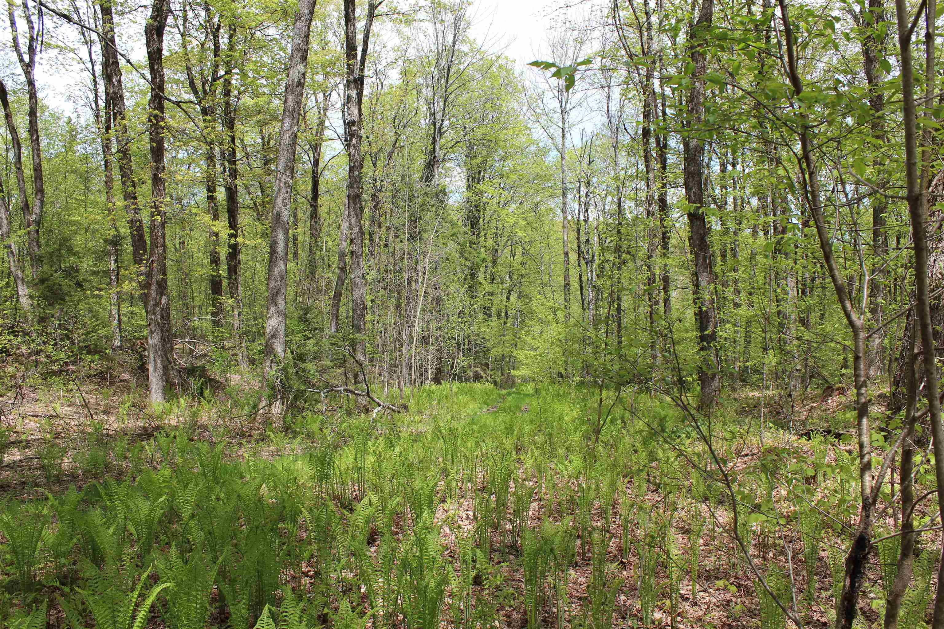 00 Long Hill RD Woodstock, VT 05091