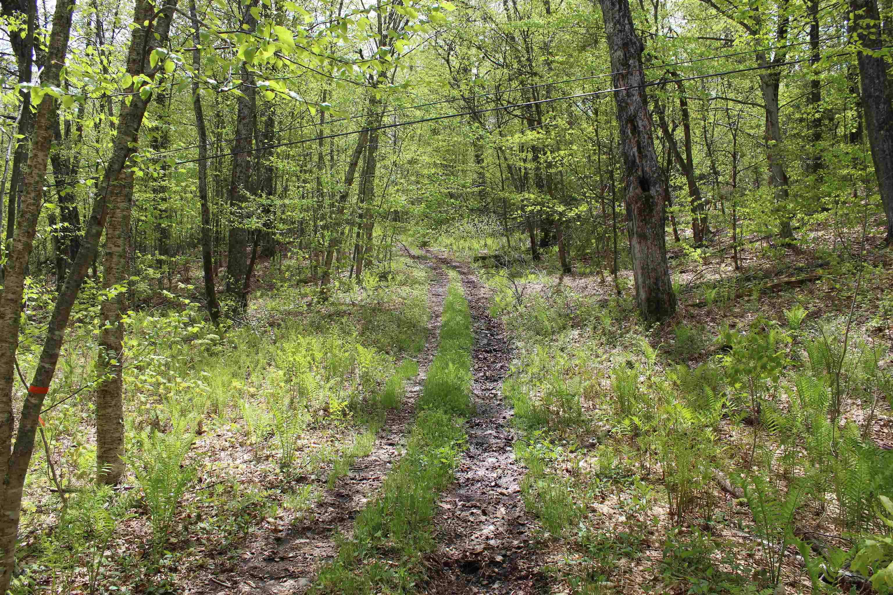 Woodstock, VT 05091,00 Long Hill RD