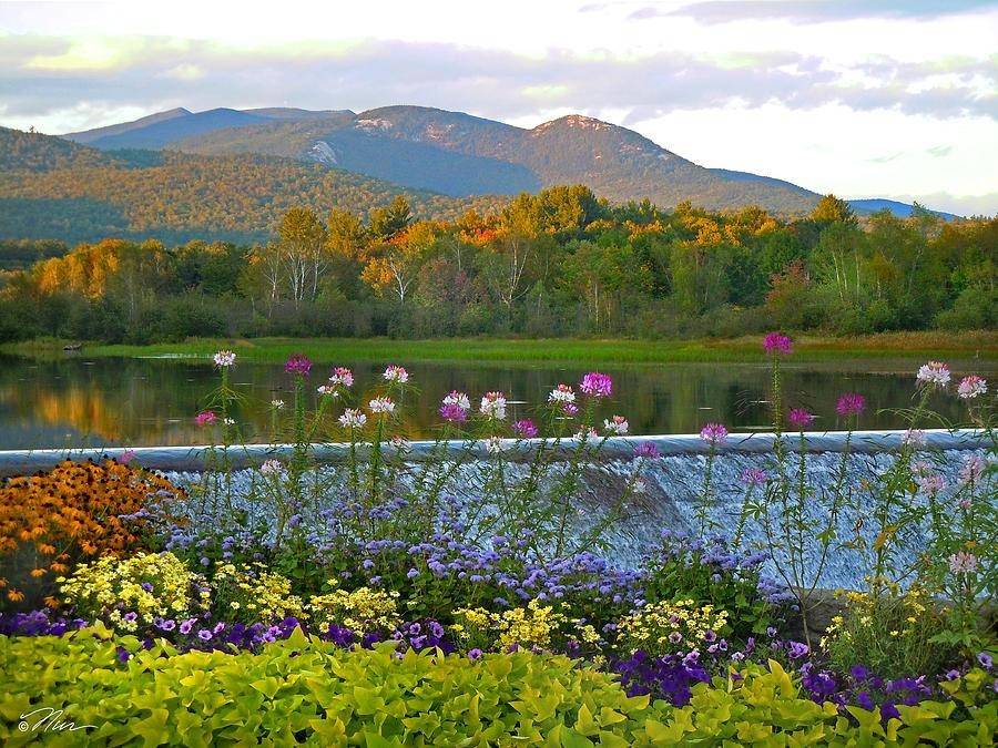 Campton, NH 03223,34 Weetamoo TRL