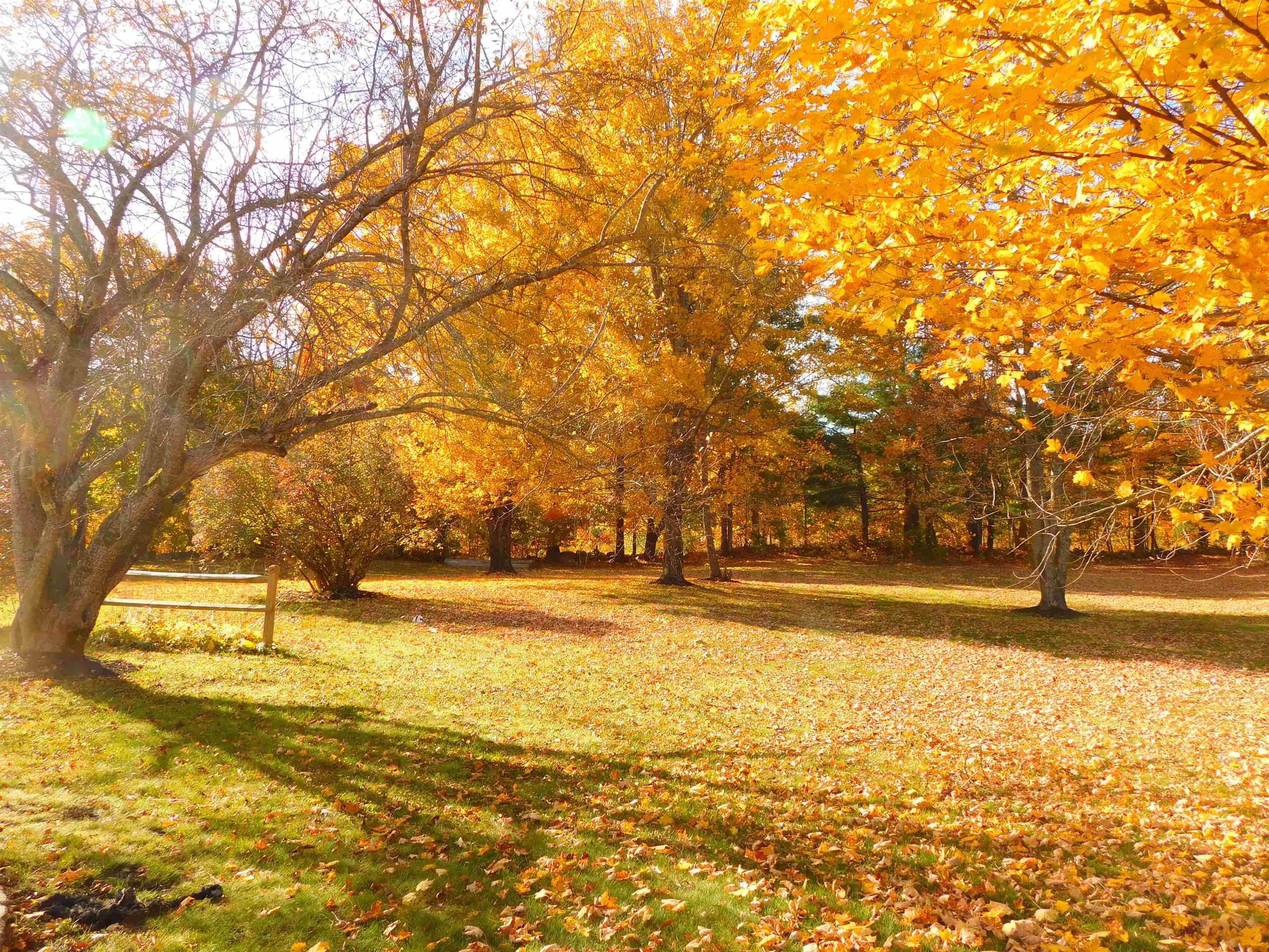Wakefield, NH 03872,26 Hilltop DR
