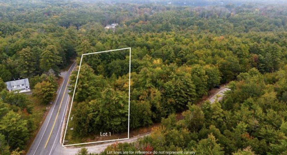 Wolfeboro, NH 03894,25-1 Winnipesaukee DR