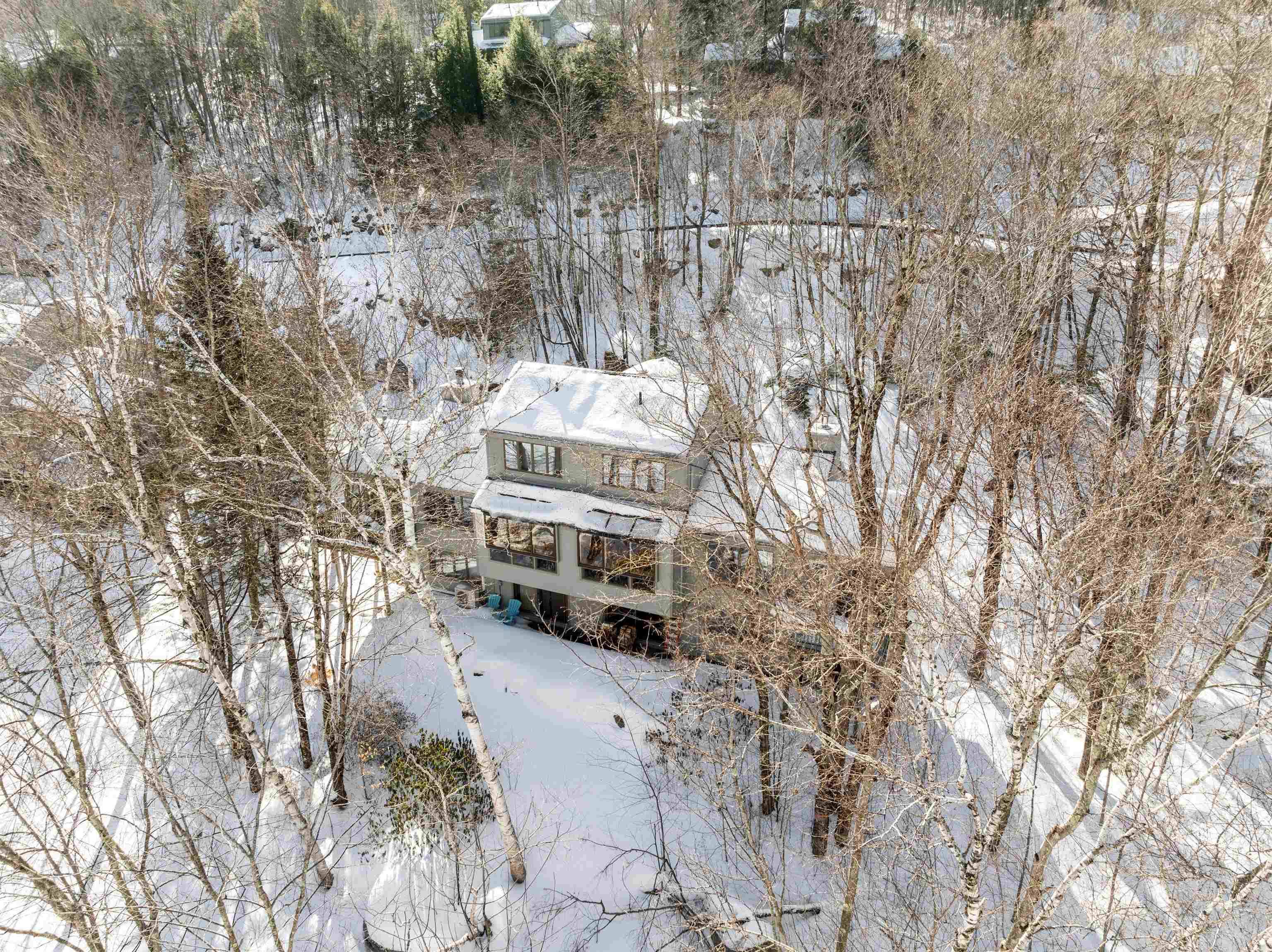 Lincoln, NH 03251,32 Loonwood DR #1
