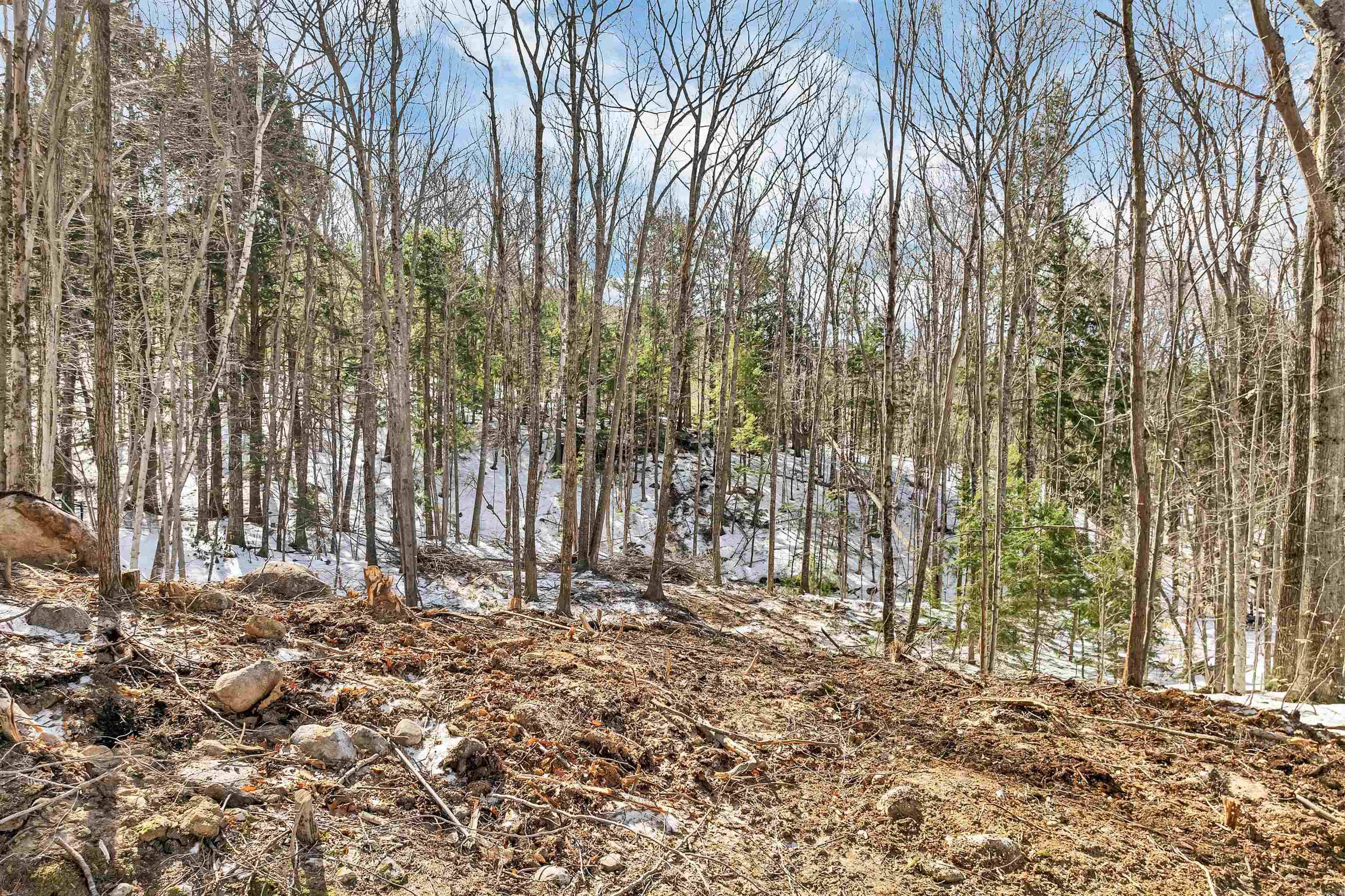 0 Franconia DR New Durham, NH 03855