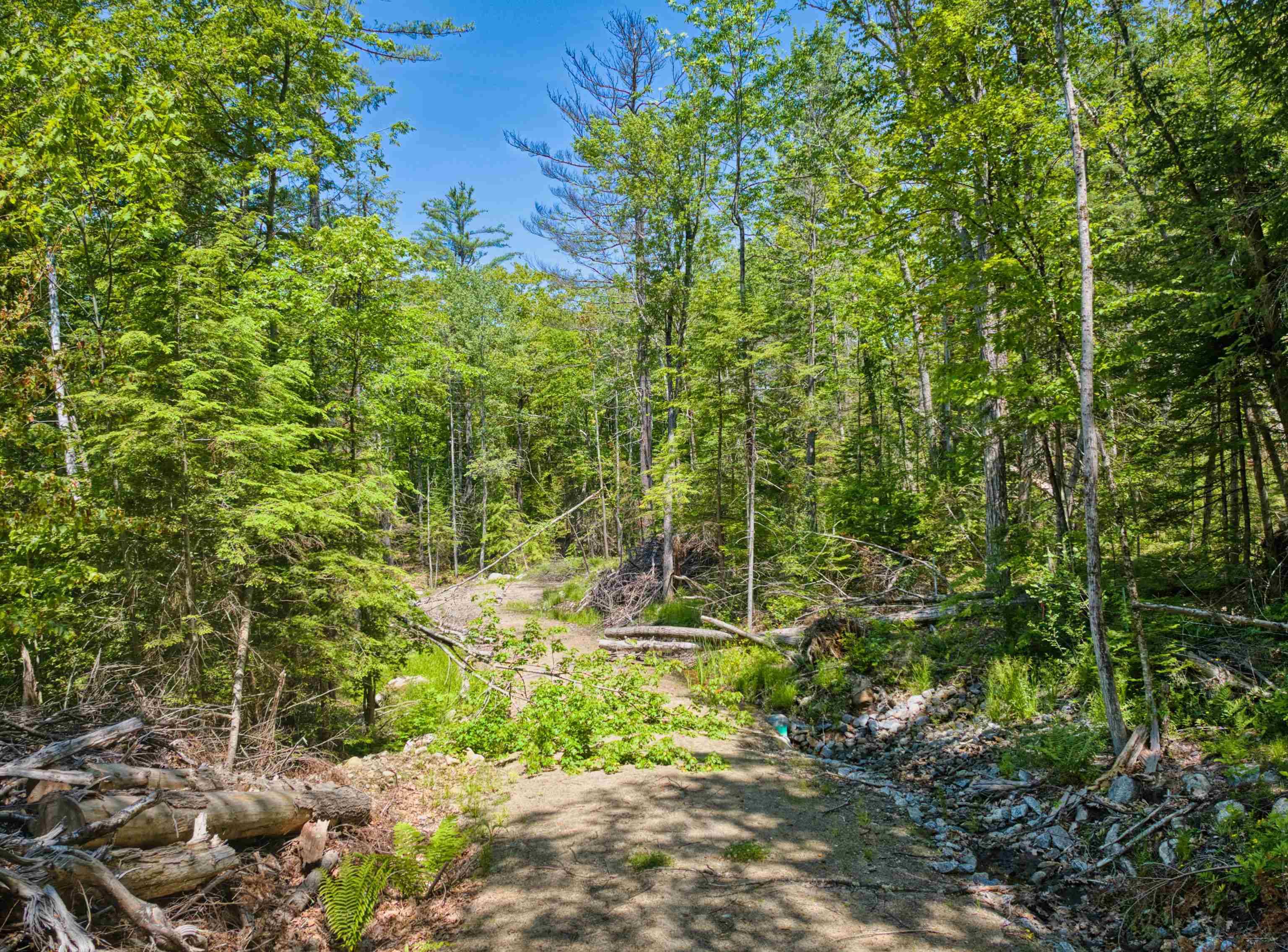 Grantham, NH 03753,00 Stocker Pond RD