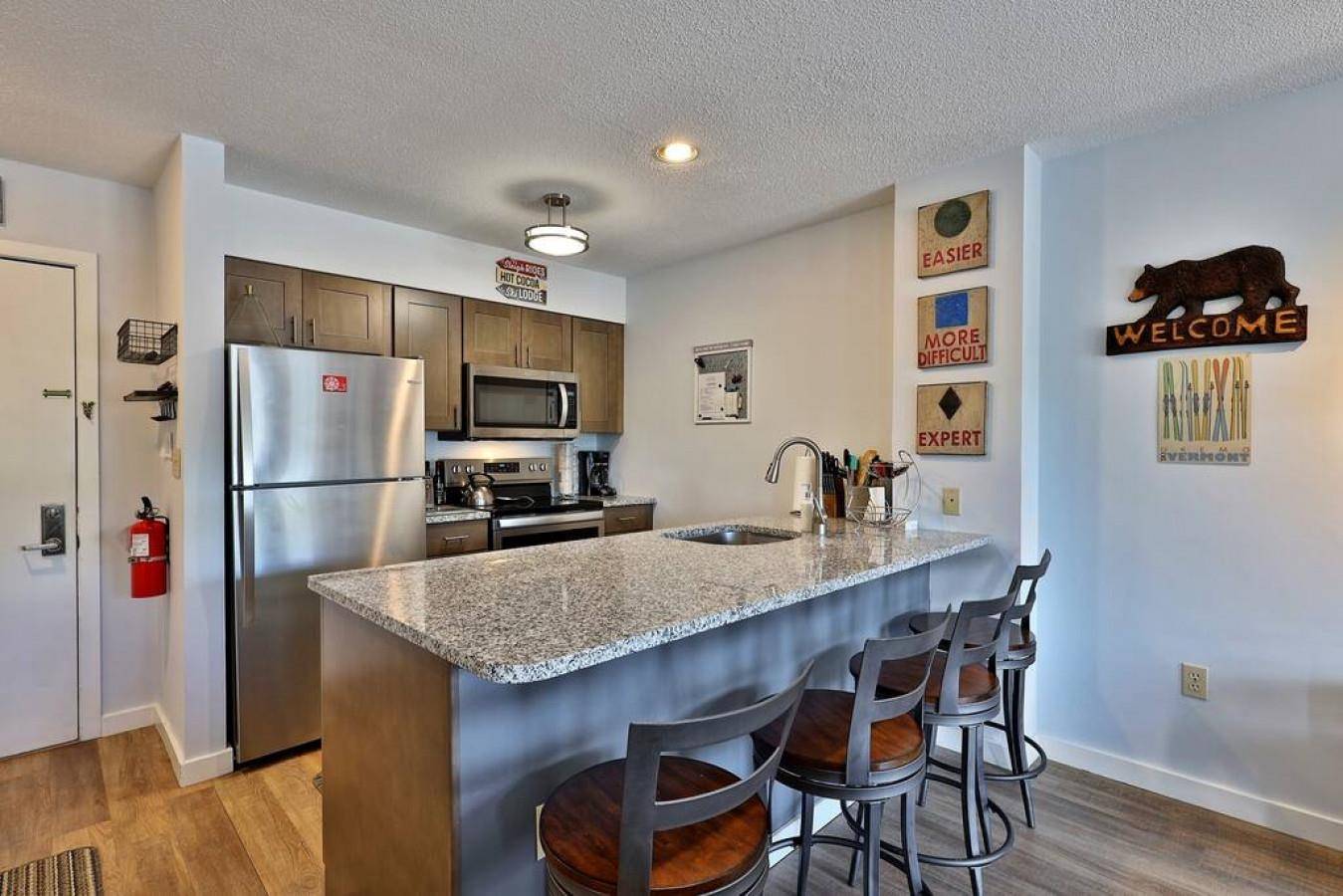 Ludlow, VT 05149,350 Mountain RD #B301