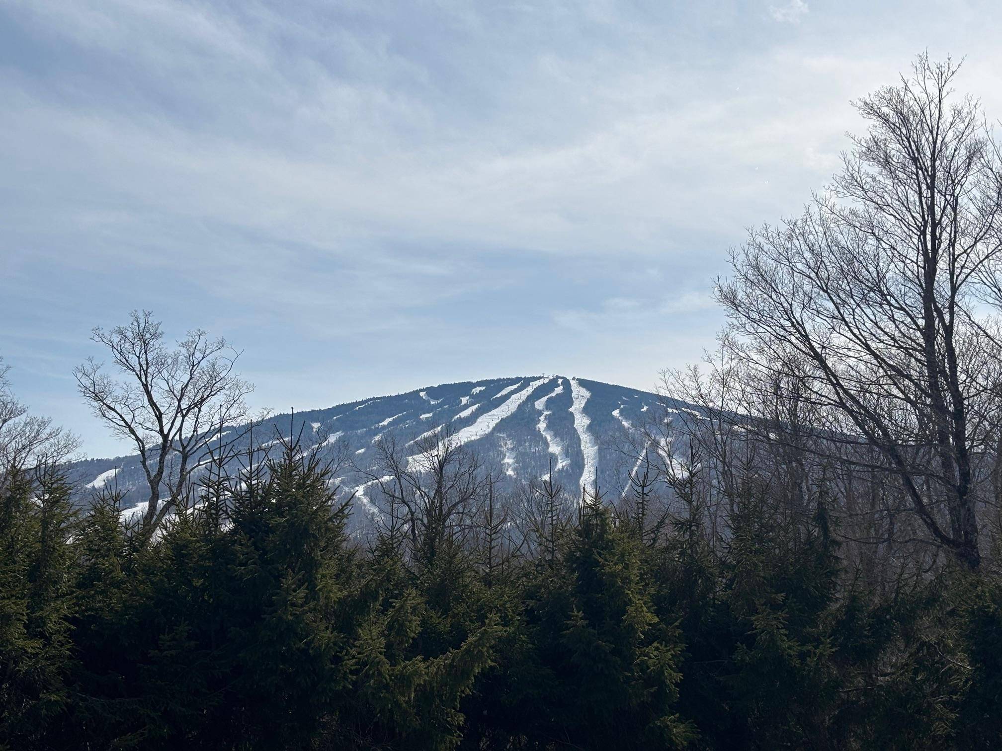Winhall, VT 05340,5 Red Hickory RD
