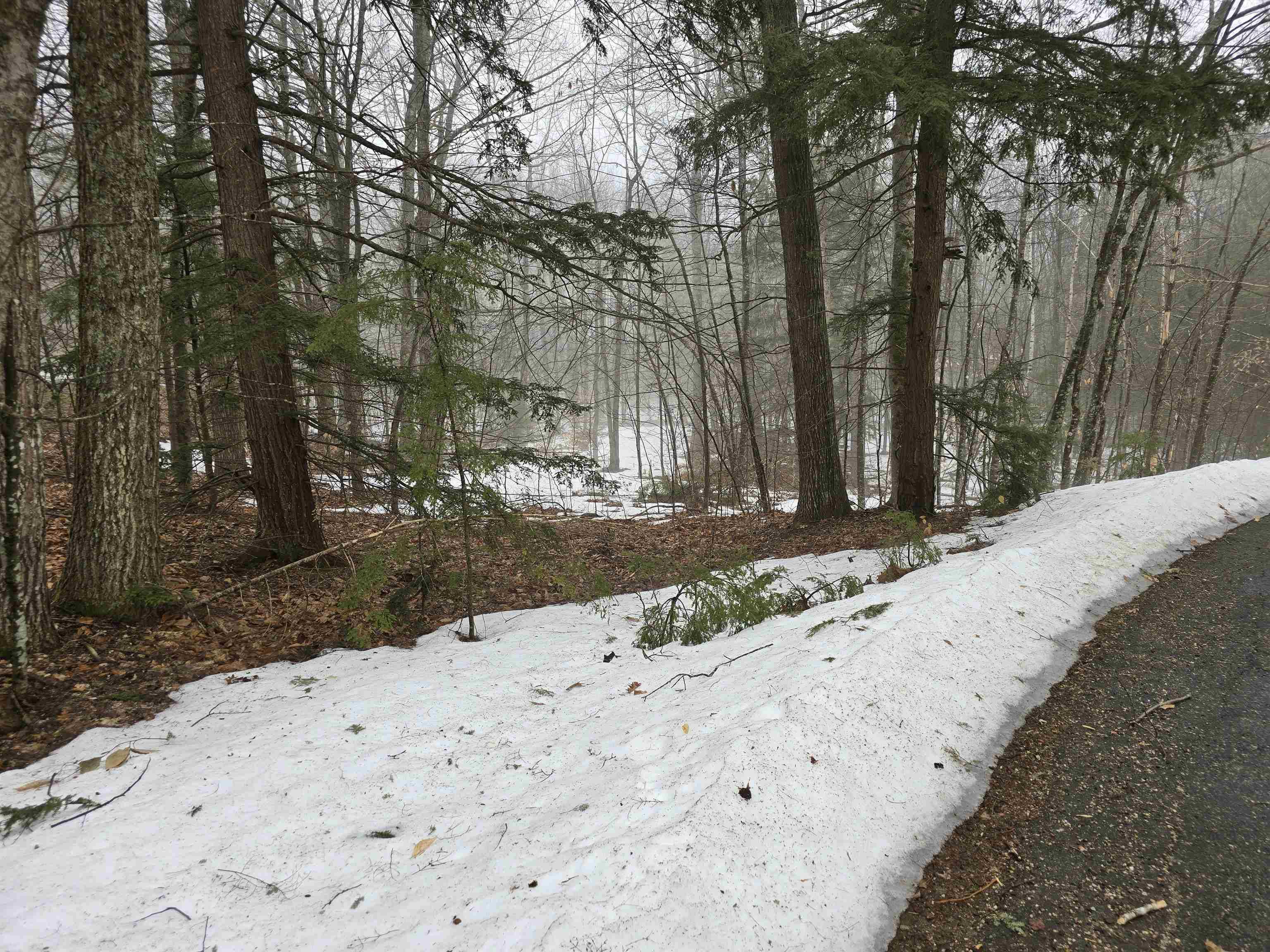 Wakefield, NH 03872,Crabapple DR