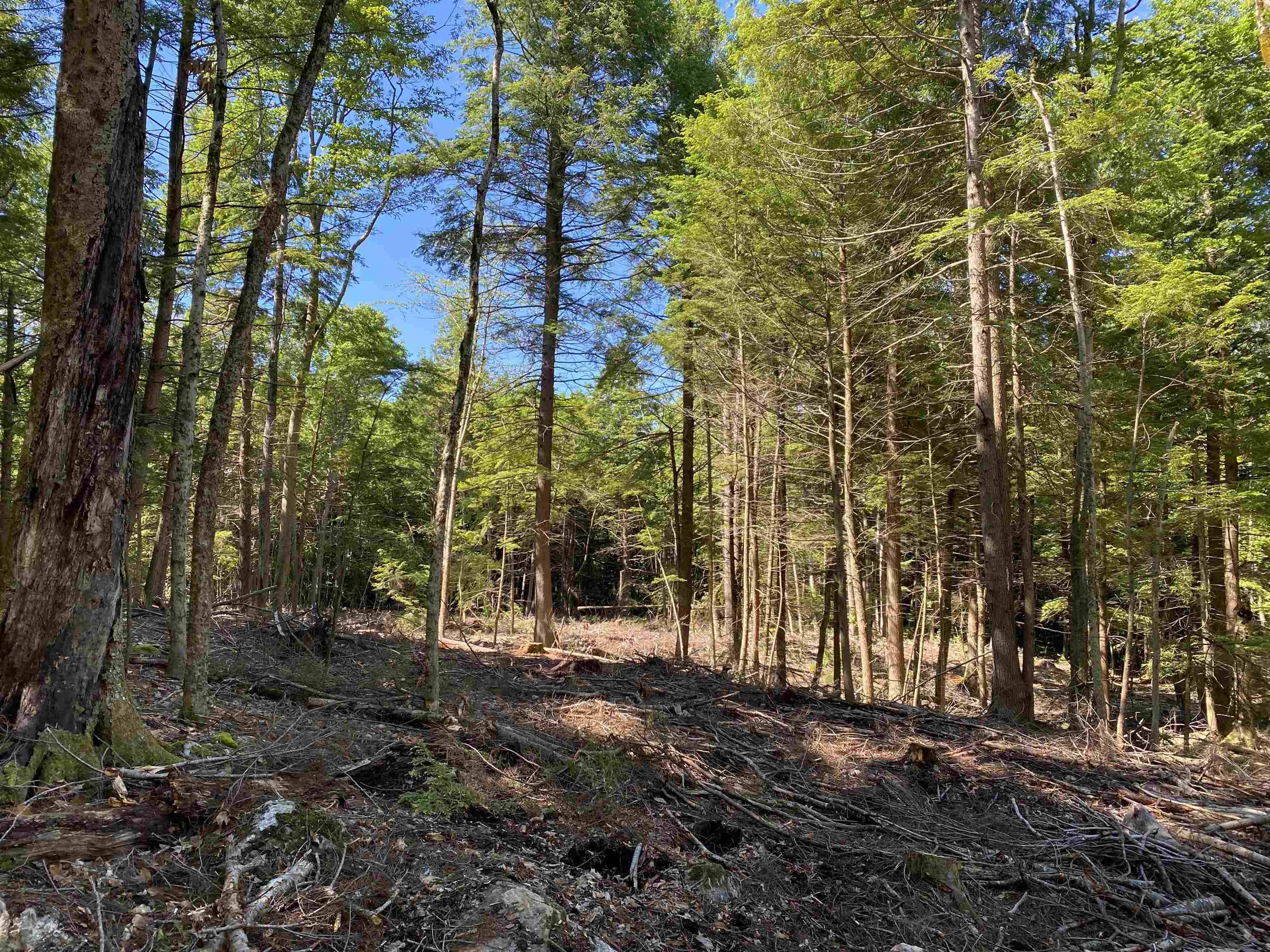 Pittsfield, NH 03263,Lot 16-4 Catamount RD