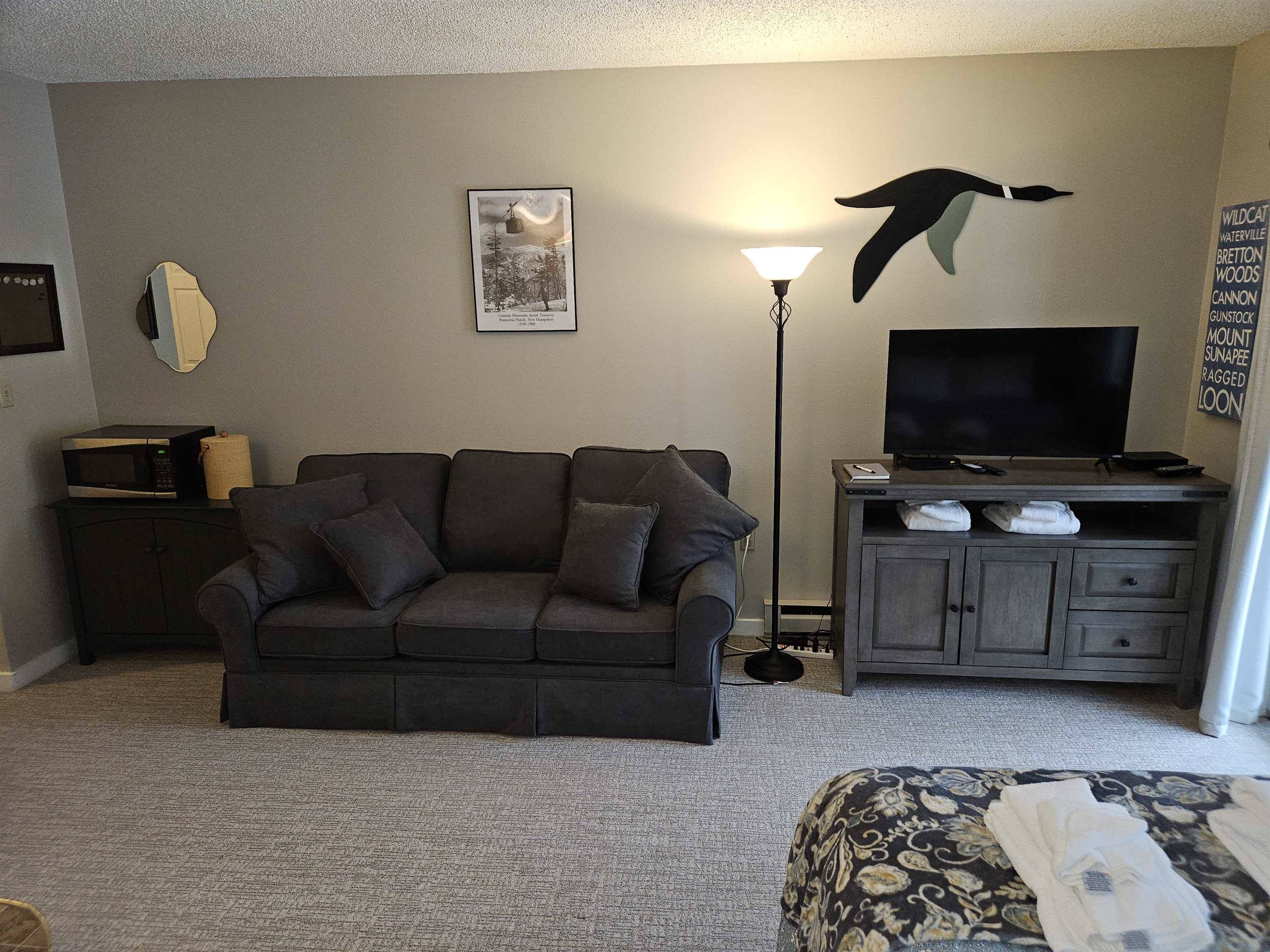 Lincoln, NH 03251,36 Lodge RD #D115