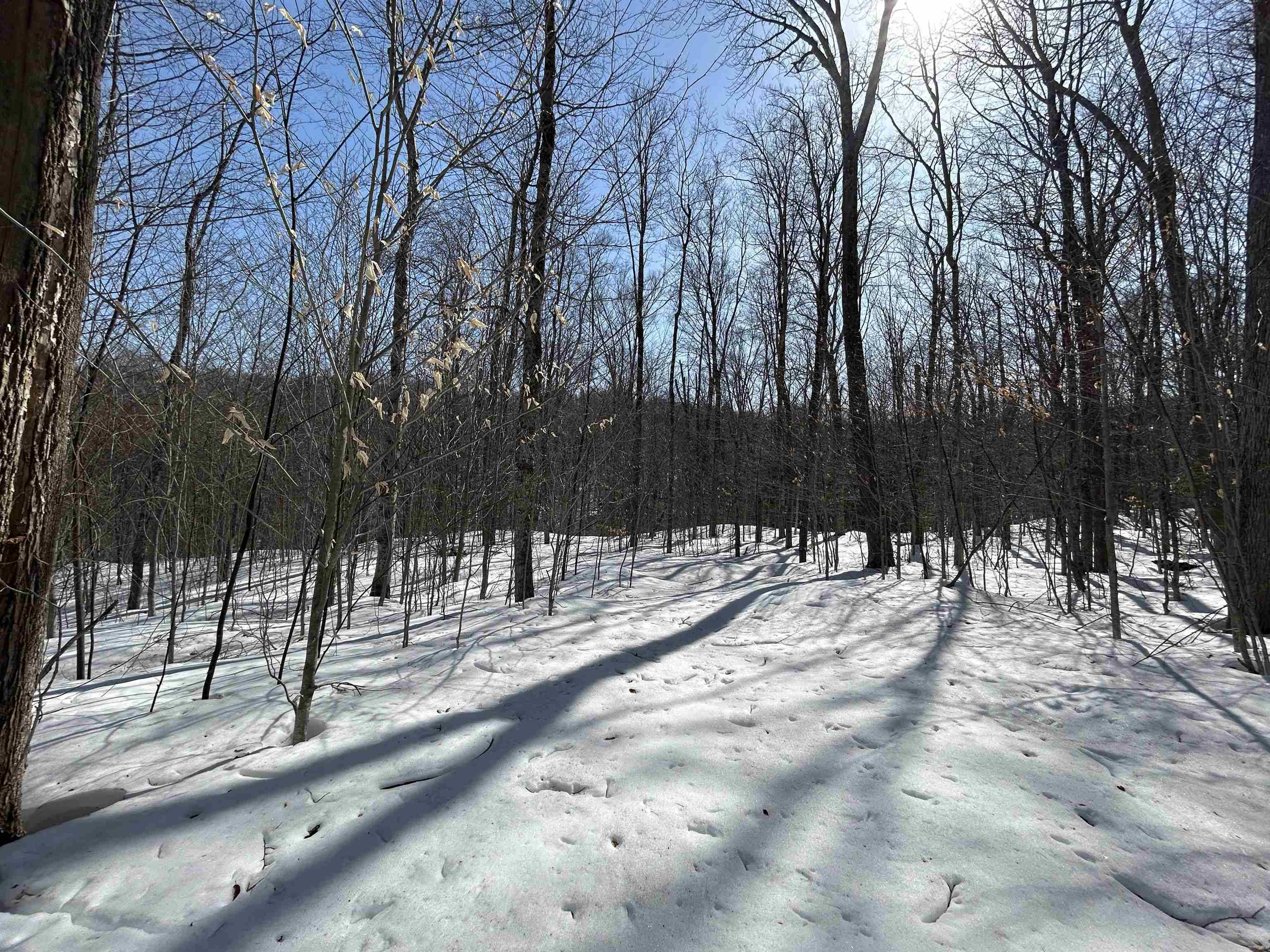 Stratton, VT 05155,00 Margeaux LN