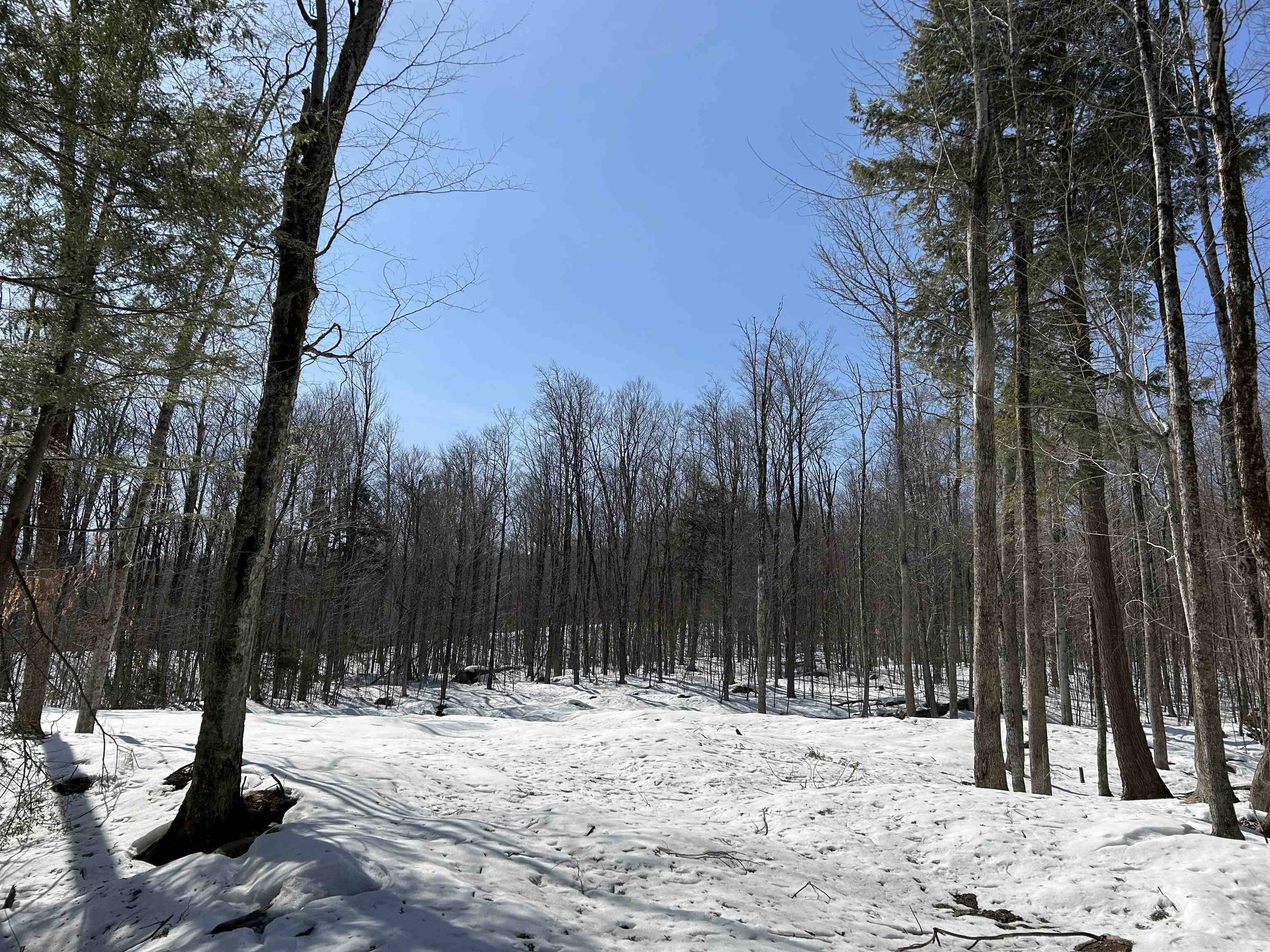 Stratton, VT 05155,lot#2 Margeaux LN