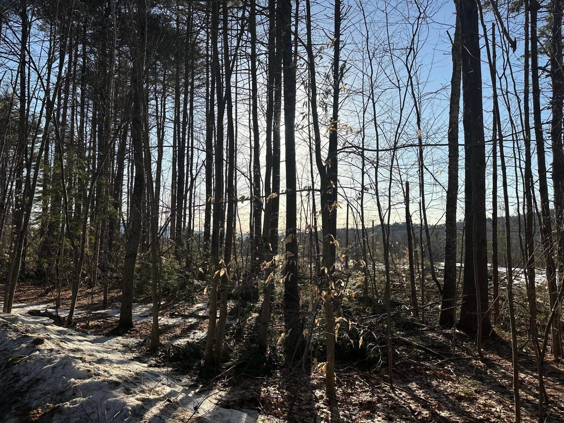 Ossipee, NH 03814,00 Thurley RD