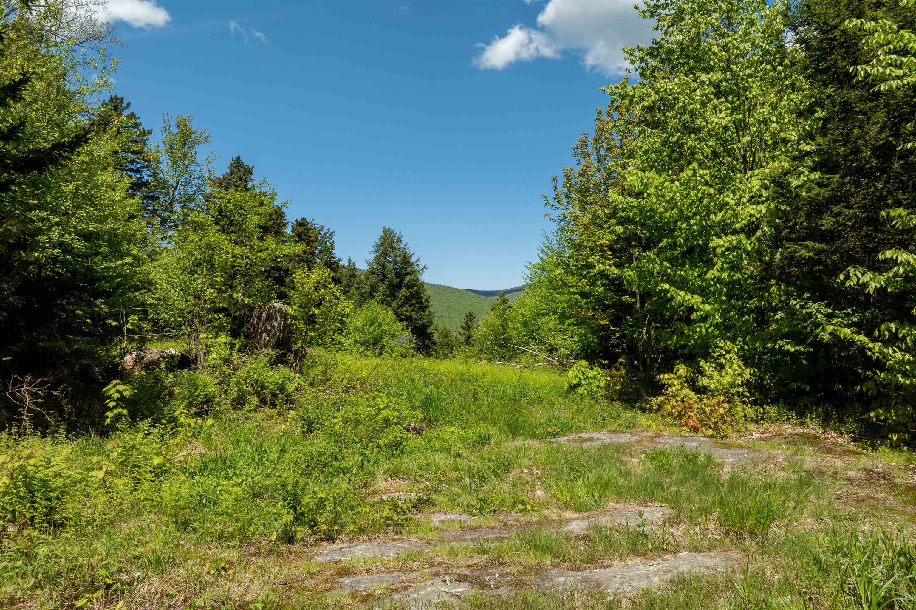 Ludlow, VT 05149,0 Turtle Hill RD #Lot #2
