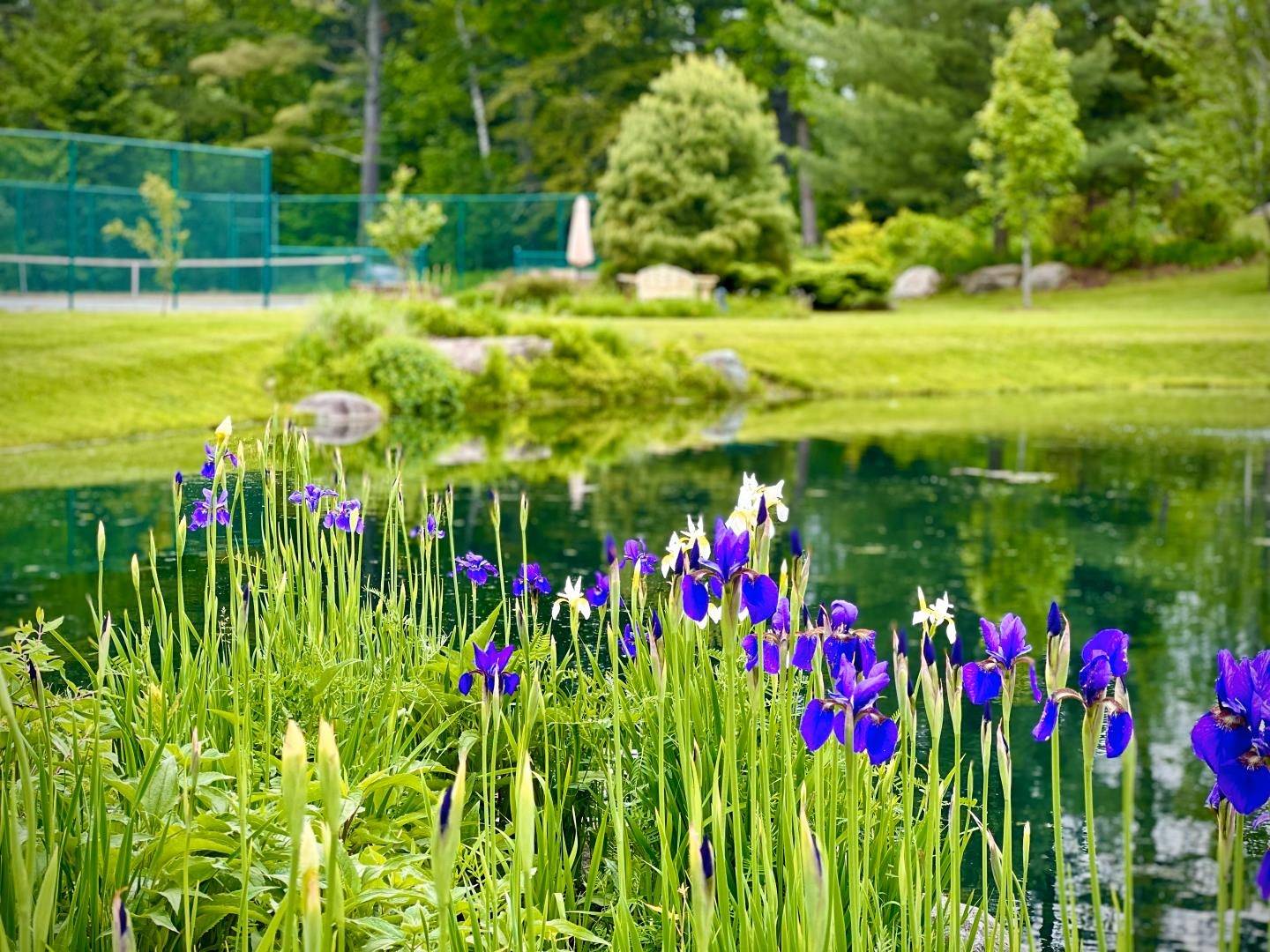 740 Edson Hill RD Stowe, VT 05672
