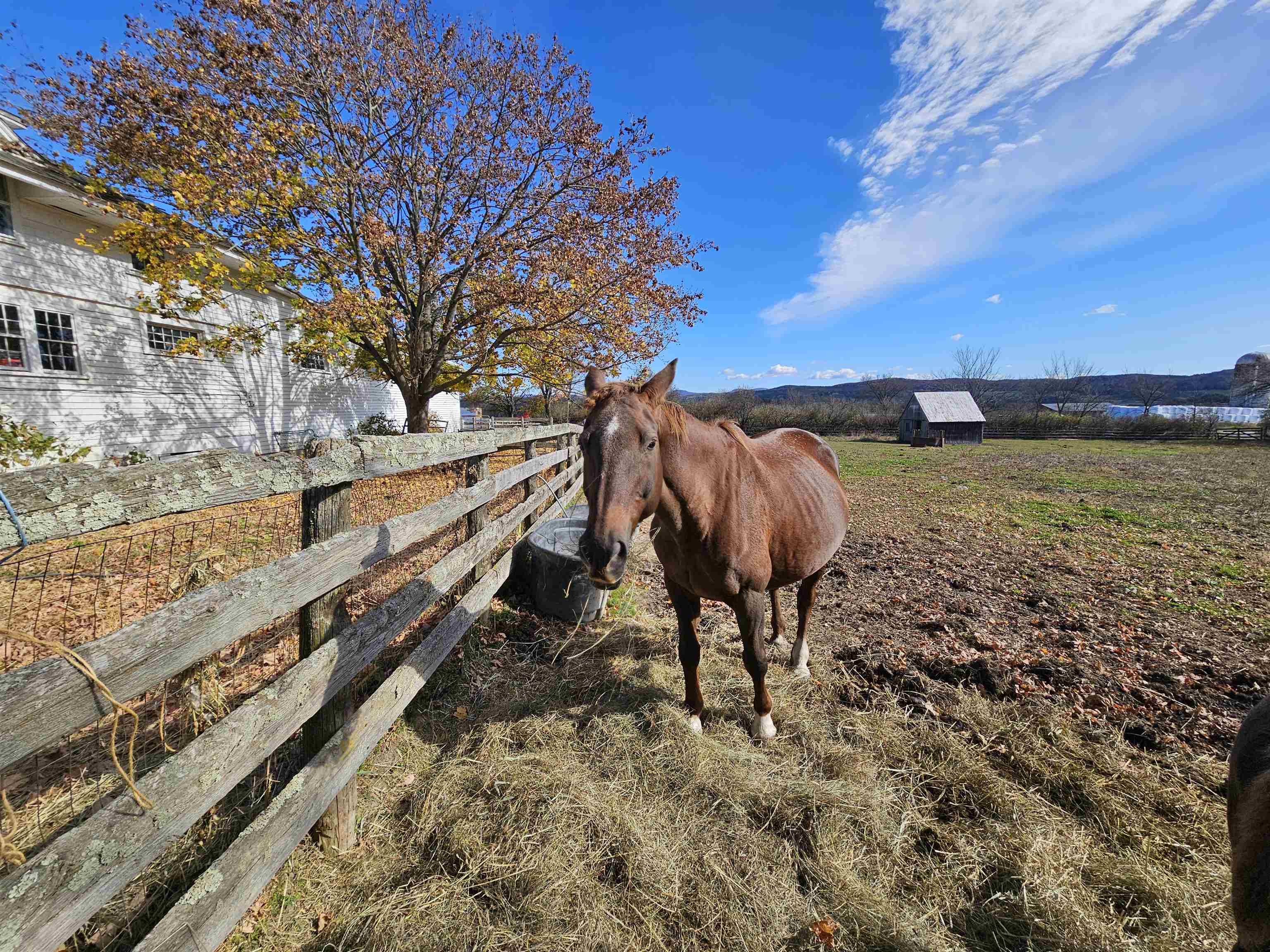 3356 Route 22A Benson, VT 05743