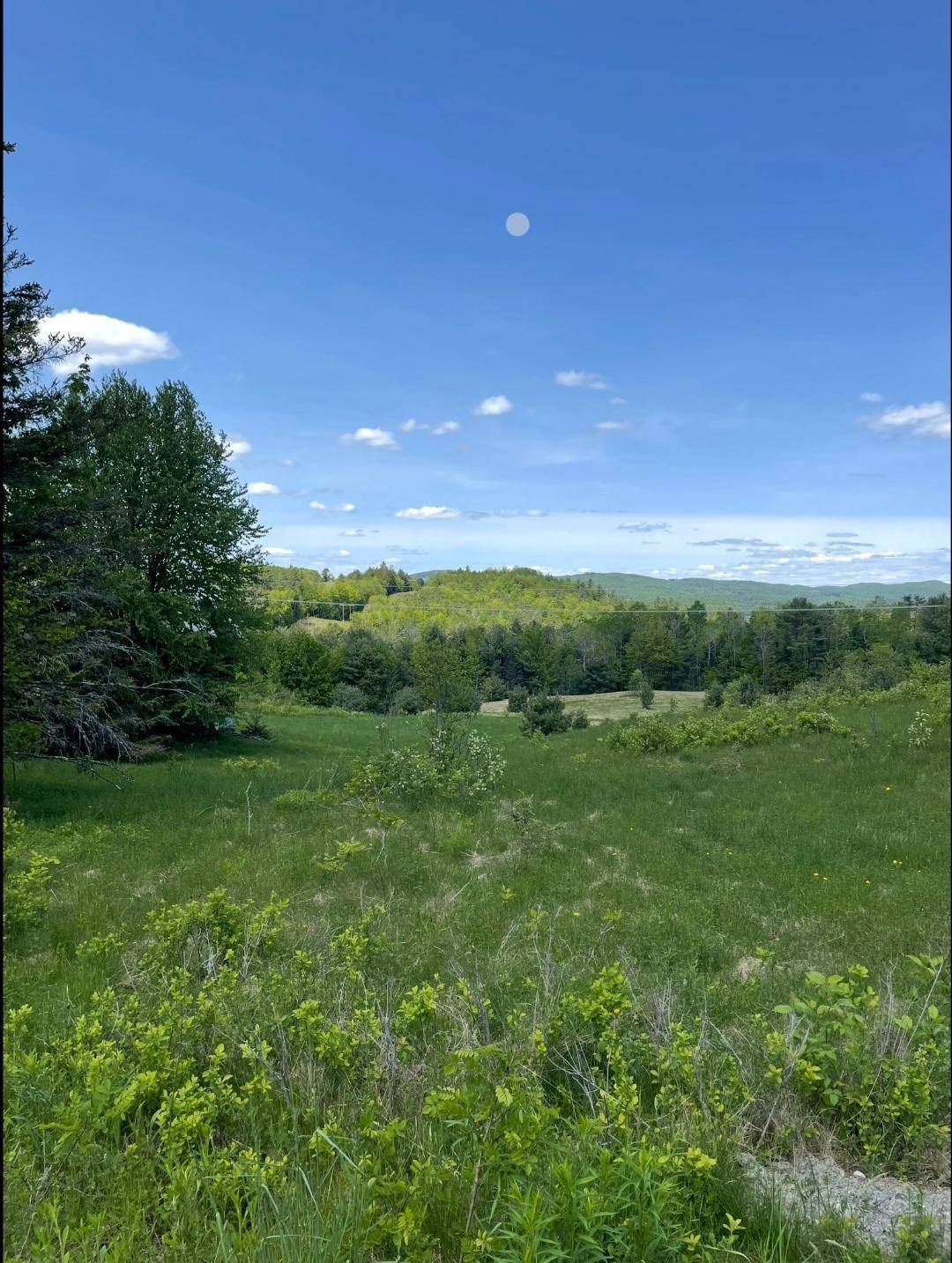 Littleton, NH 03561,166 Williams RD #3